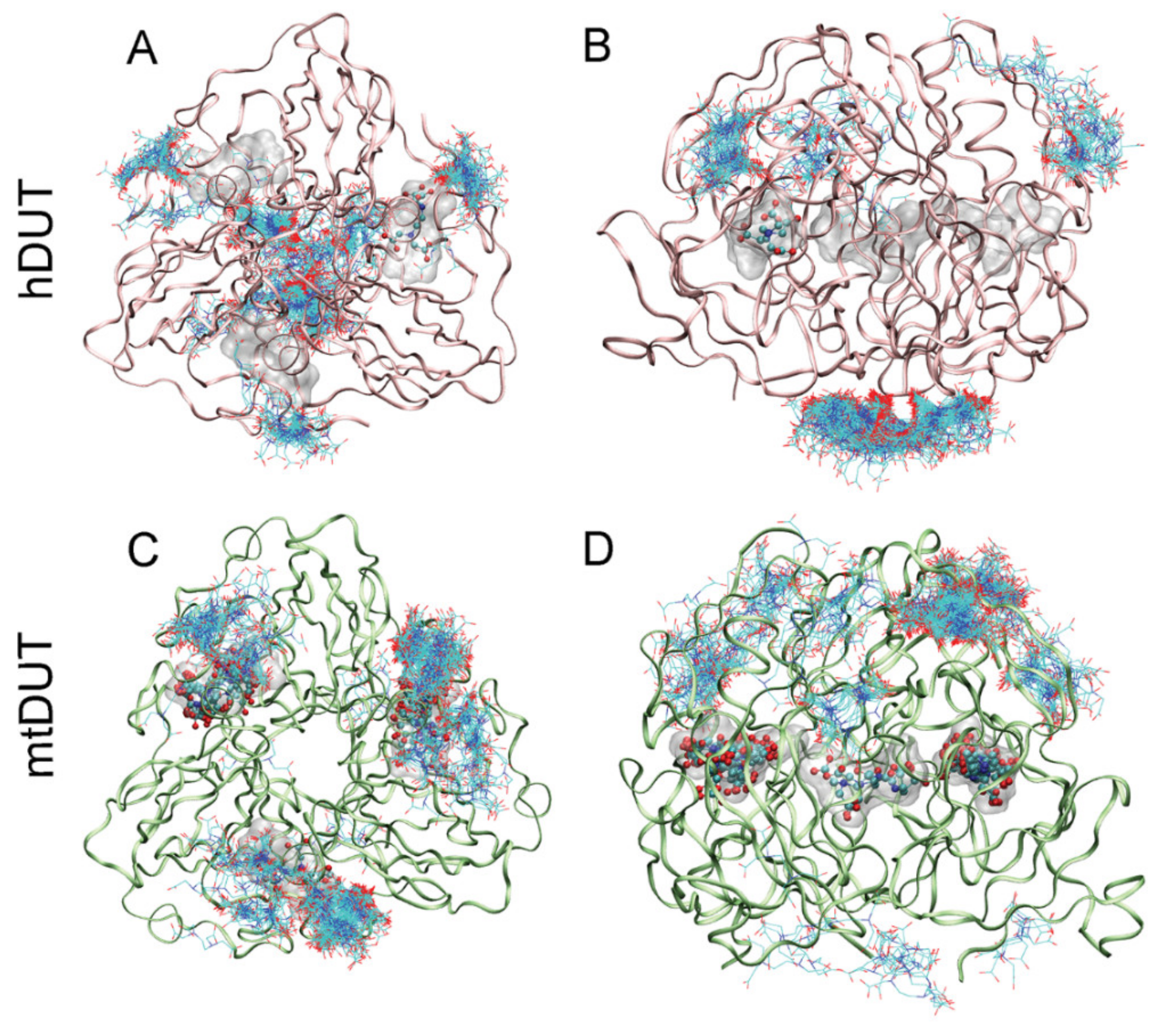 Biomolecules 09 00621 g003 Biomolecules 09 00621 g003