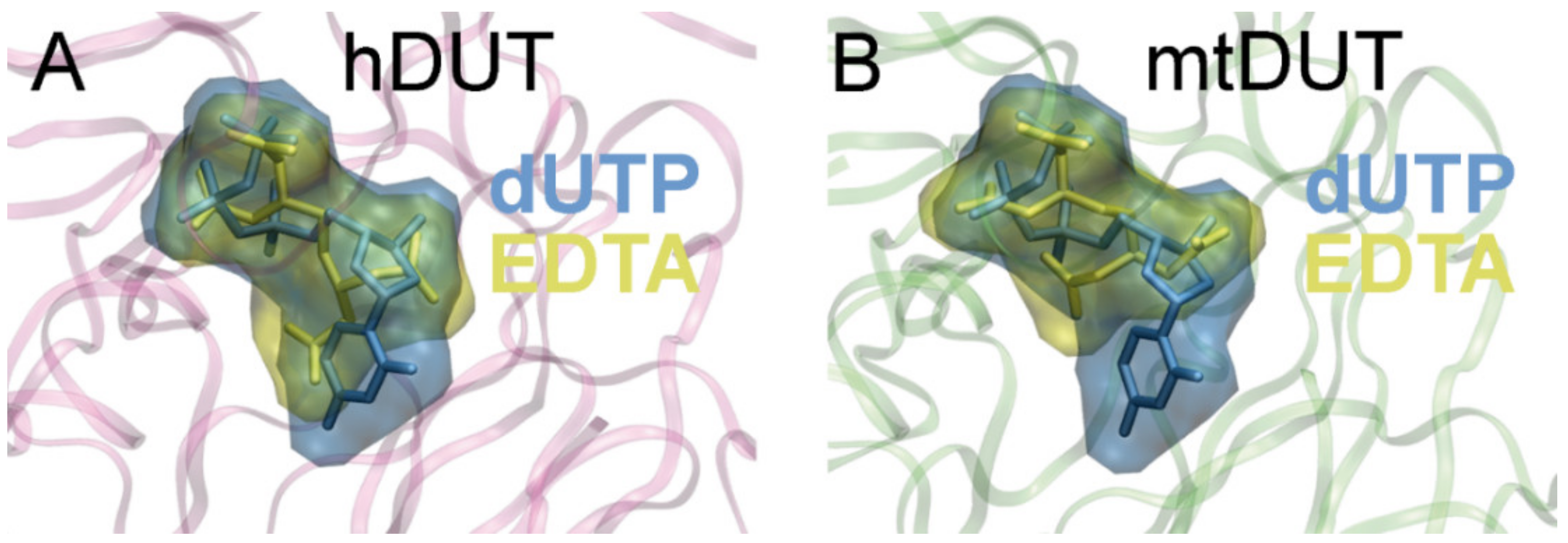 Biomolecules 09 00621 g004 Biomolecules 09 00621 g004