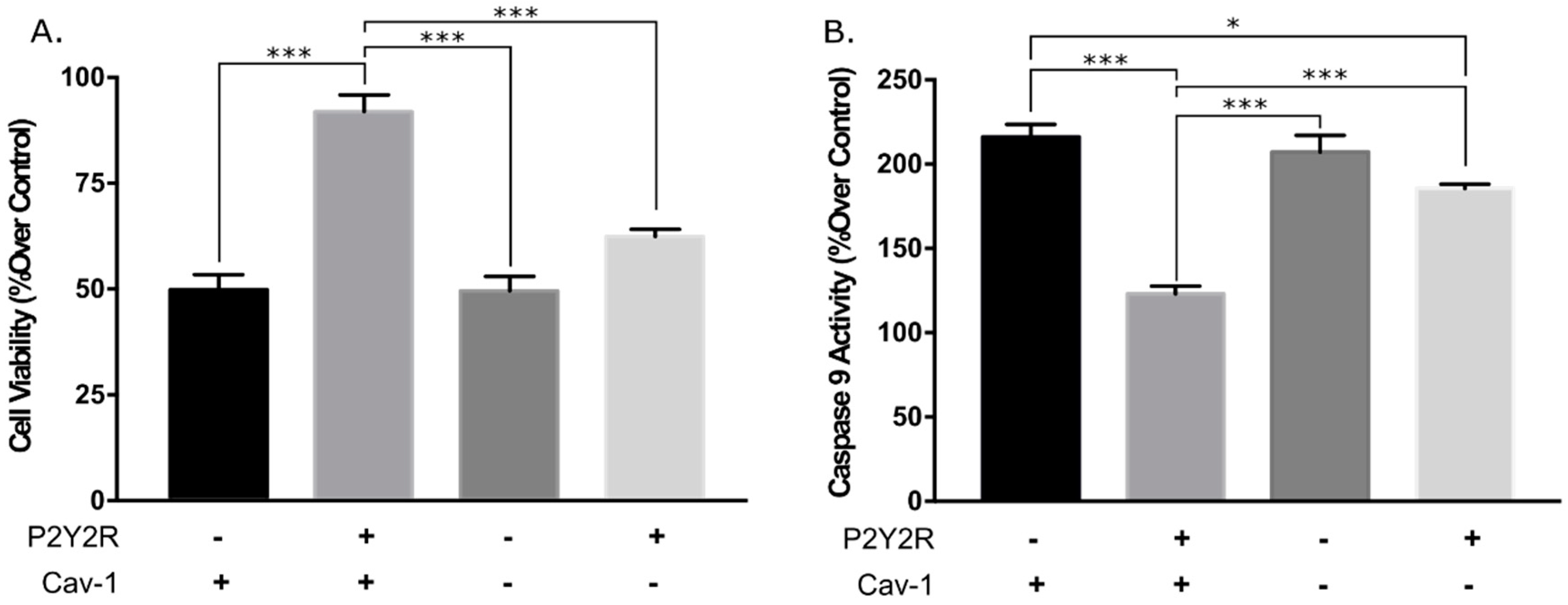 Biomolecules 09 00622 g004