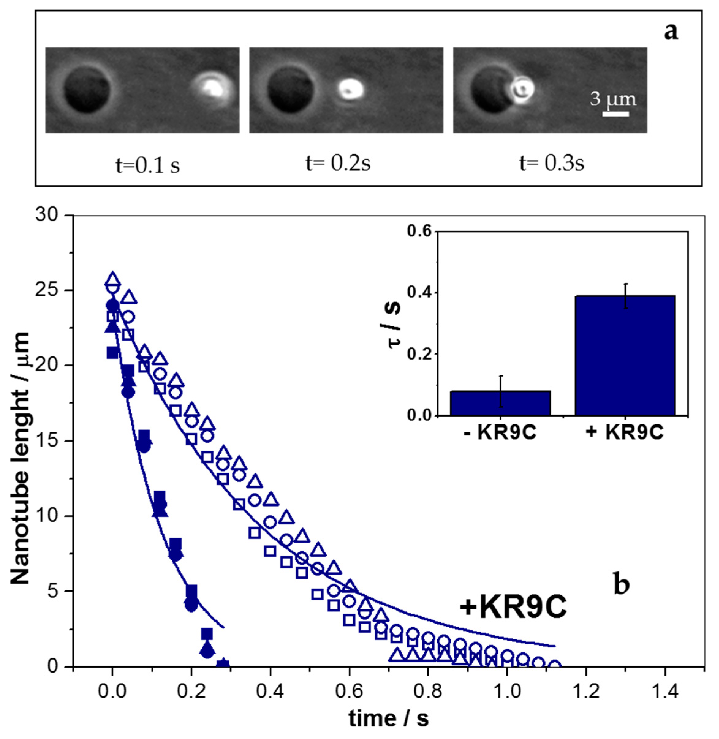 Biomolecules 09 00625 g007