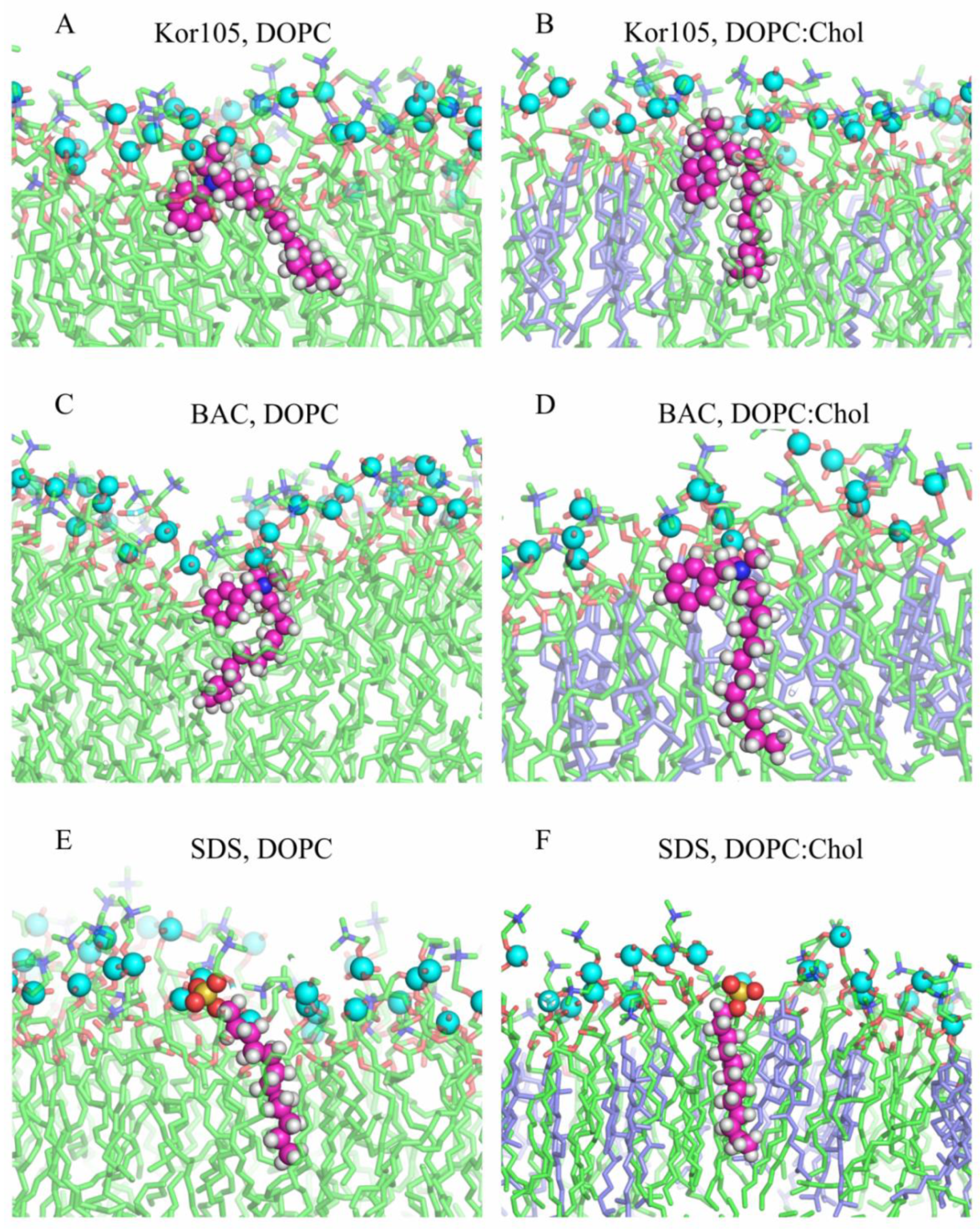 Biomolecules 09 00627 g005