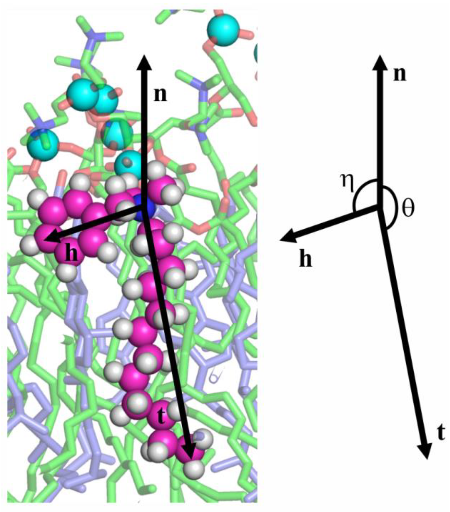 Biomolecules 09 00627 g006