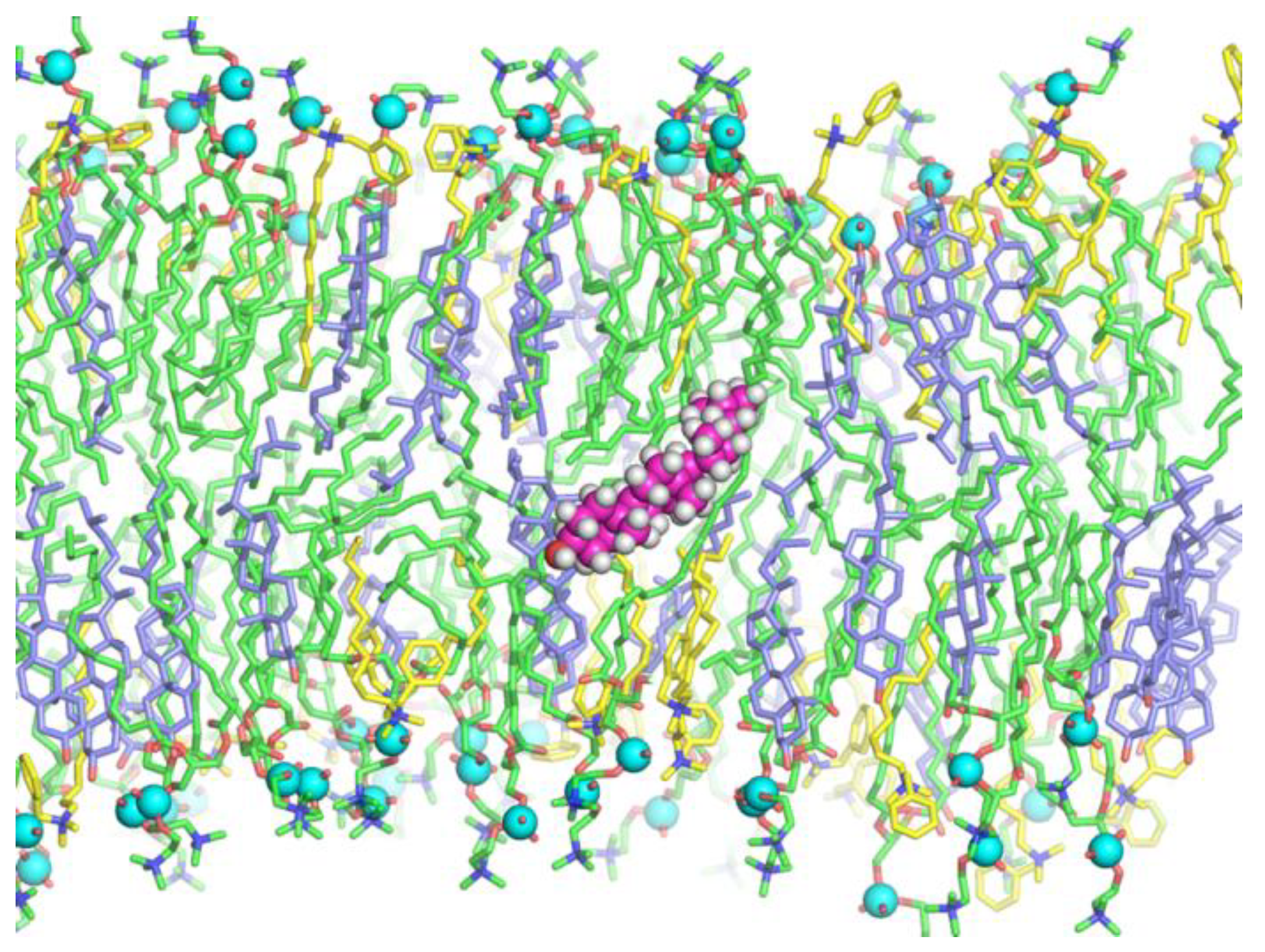 Biomolecules 09 00627 g010