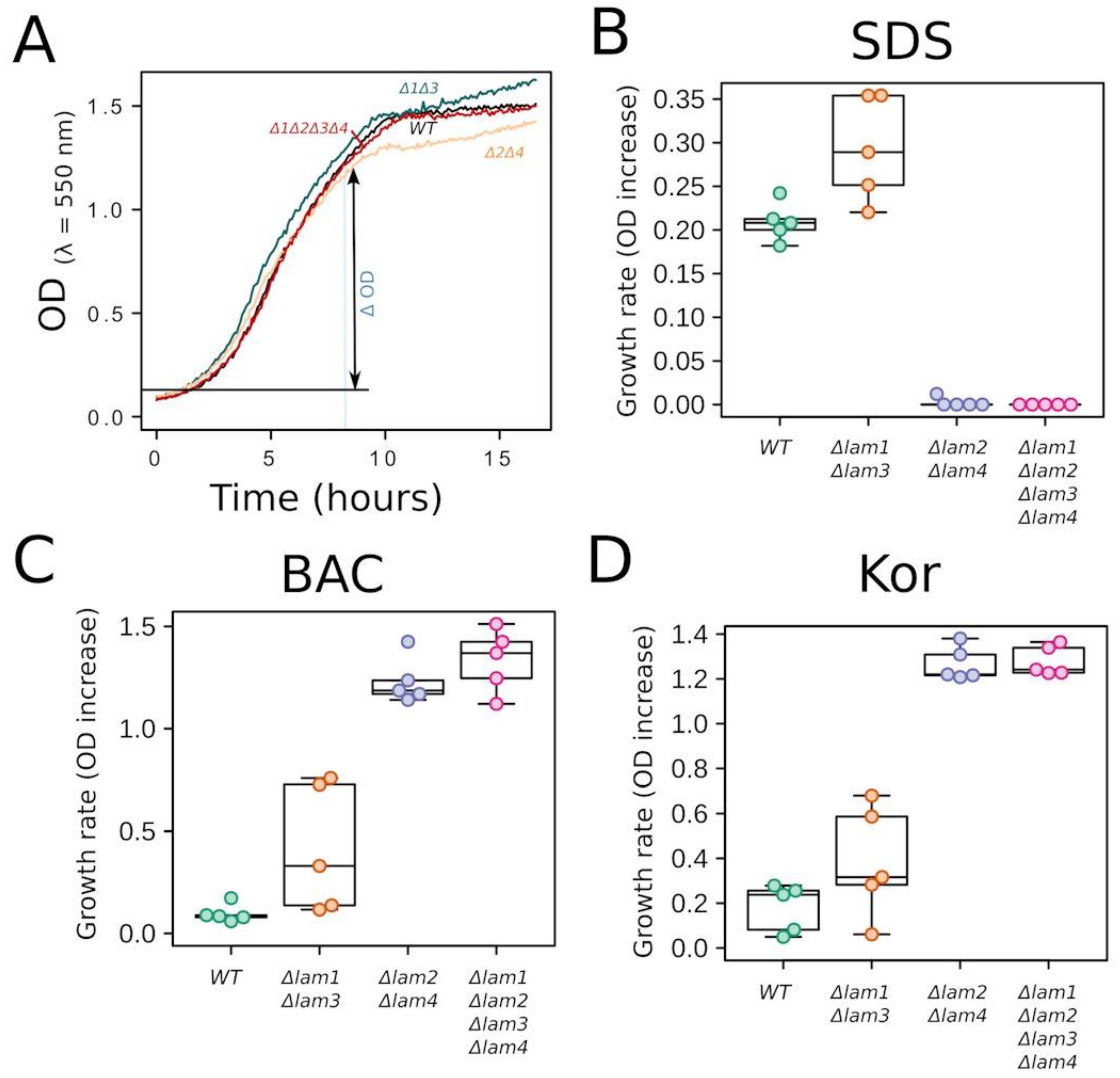 Biomolecules 09 00627 g011