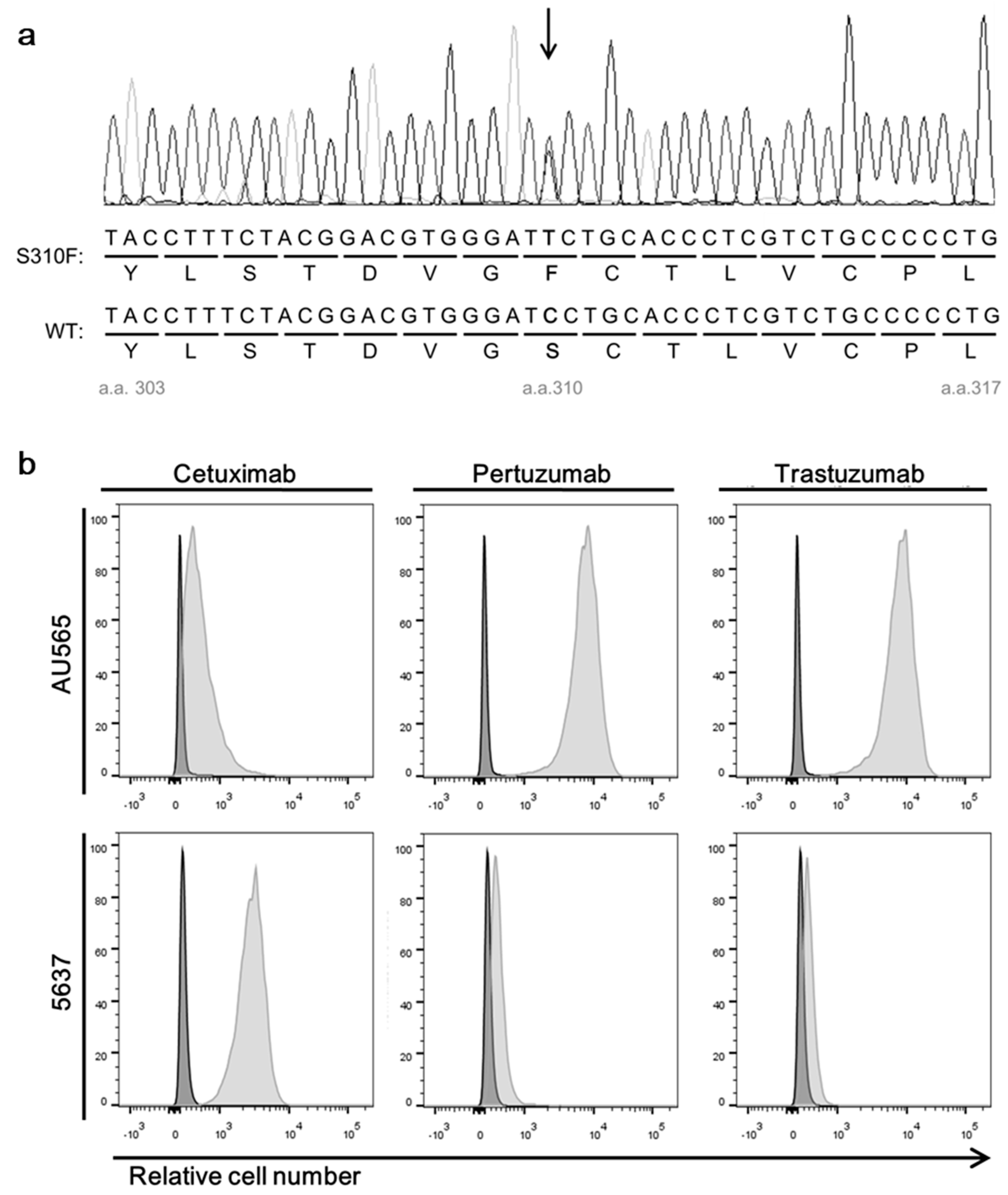 Biomolecules 09 00629 g002 Biomolecules 09 00629 g002
