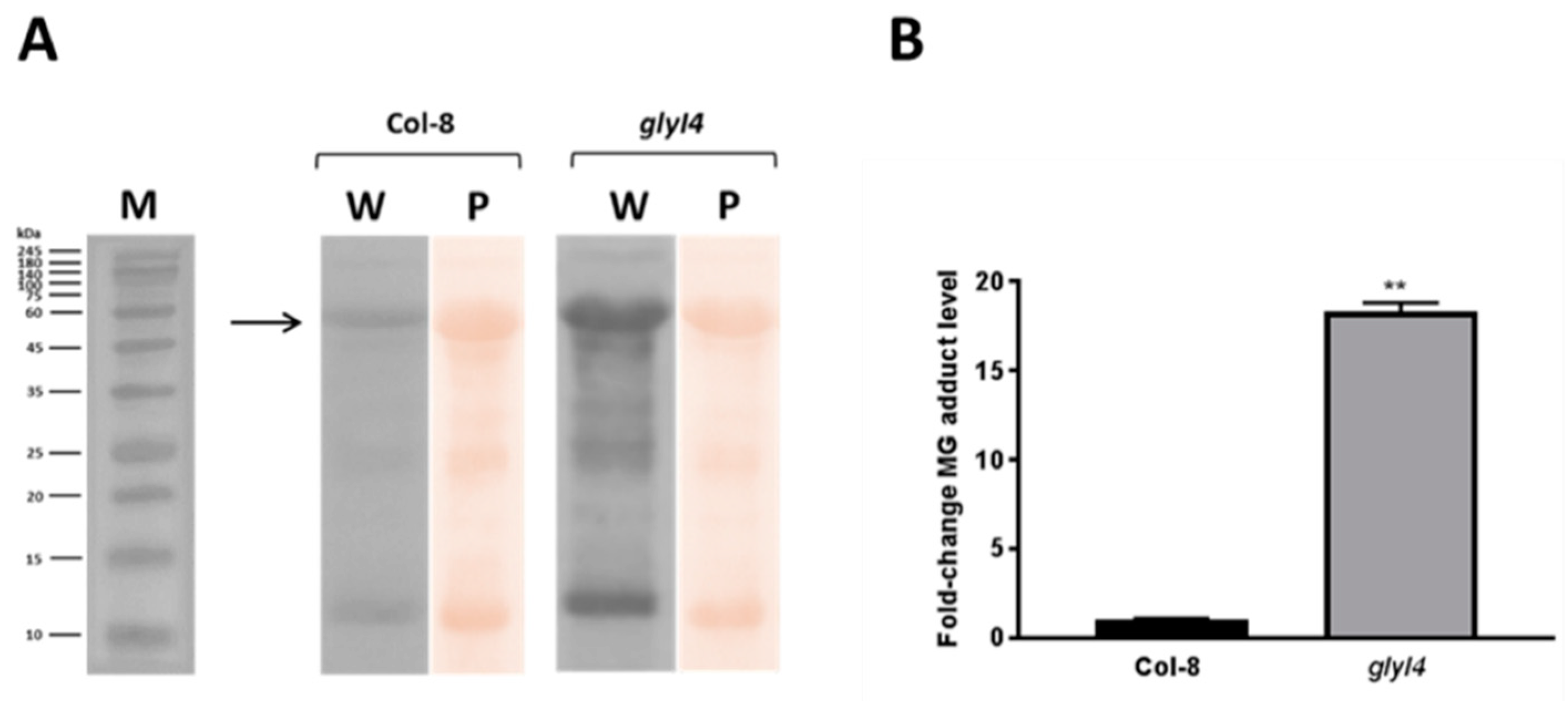 Biomolecules 09 00635 g003 Biomolecules 09 00635 g003