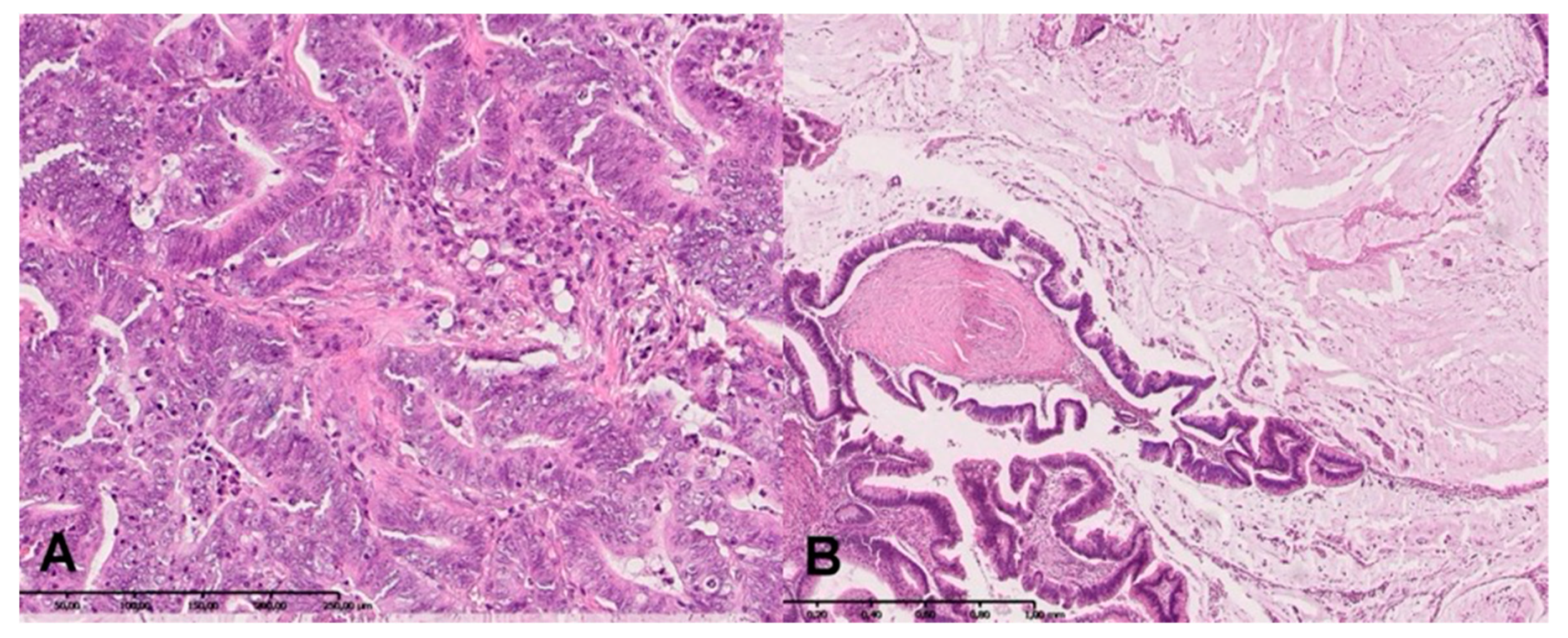 Biomolecules 09 00637 g001 Biomolecules 09 00637 g001