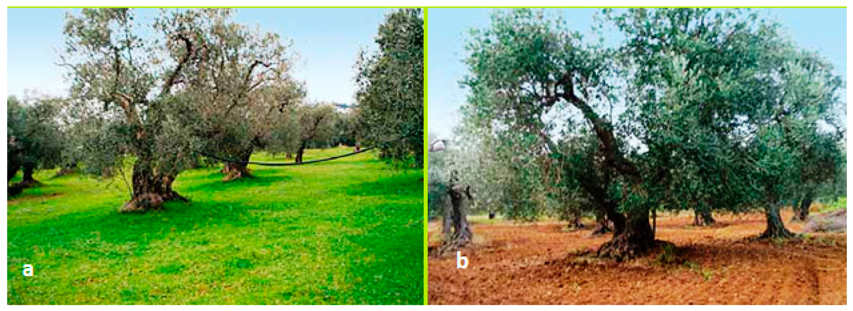 Biomolecules 09 00639 g001 Biomolecules 09 00639 g001