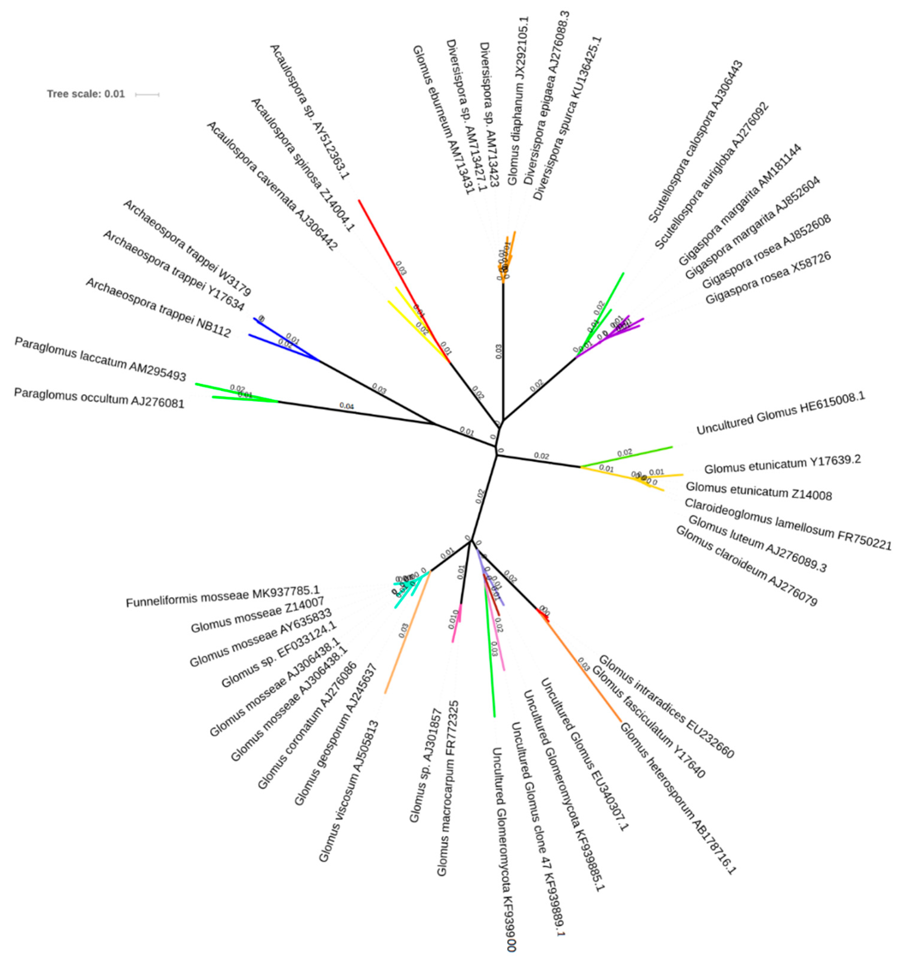 Biomolecules 09 00639 g004 Biomolecules 09 00639 g004