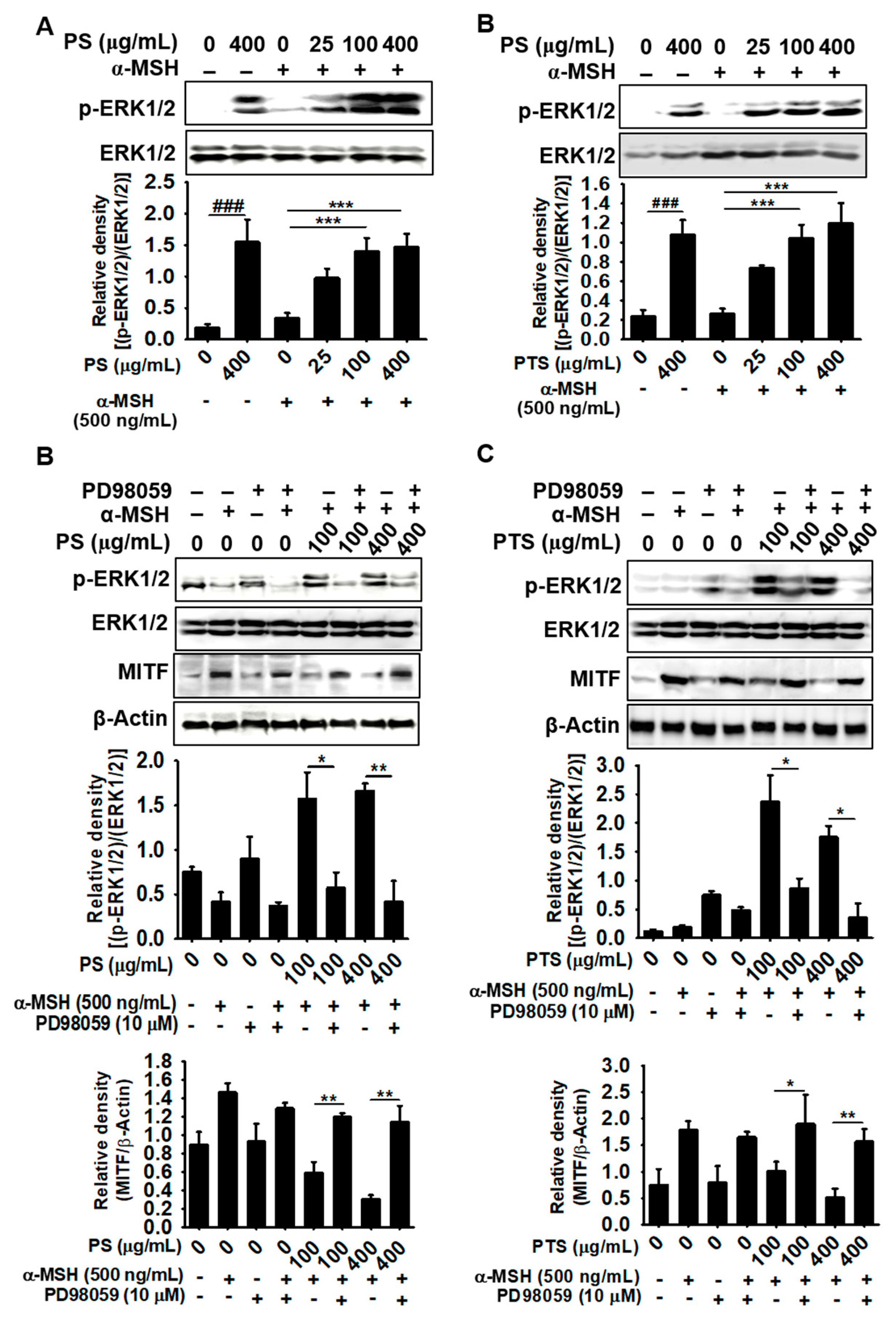 Biomolecules 09 00645 g006 Biomolecules 09 00645 g006