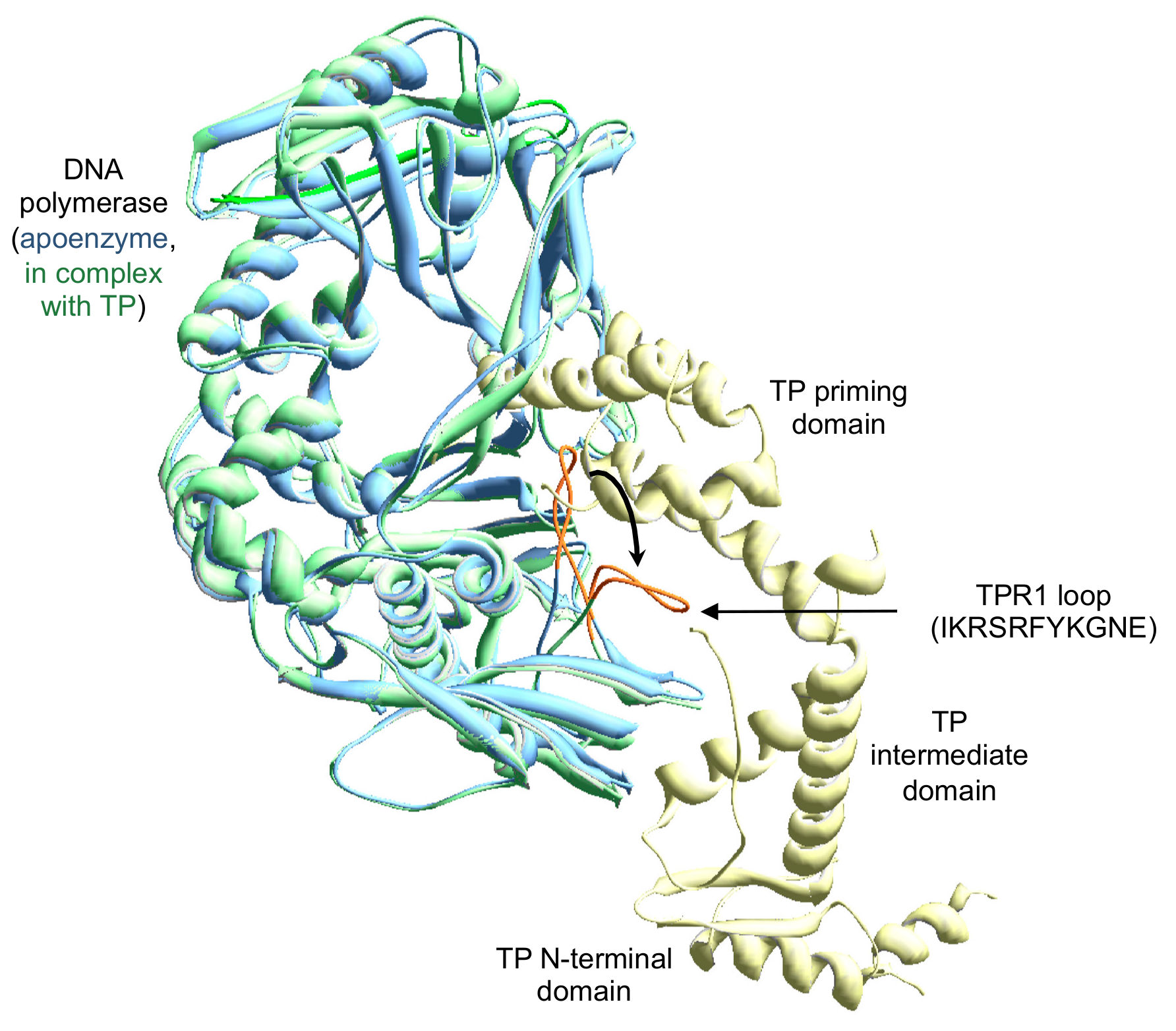 Biomolecules 09 00648 g001