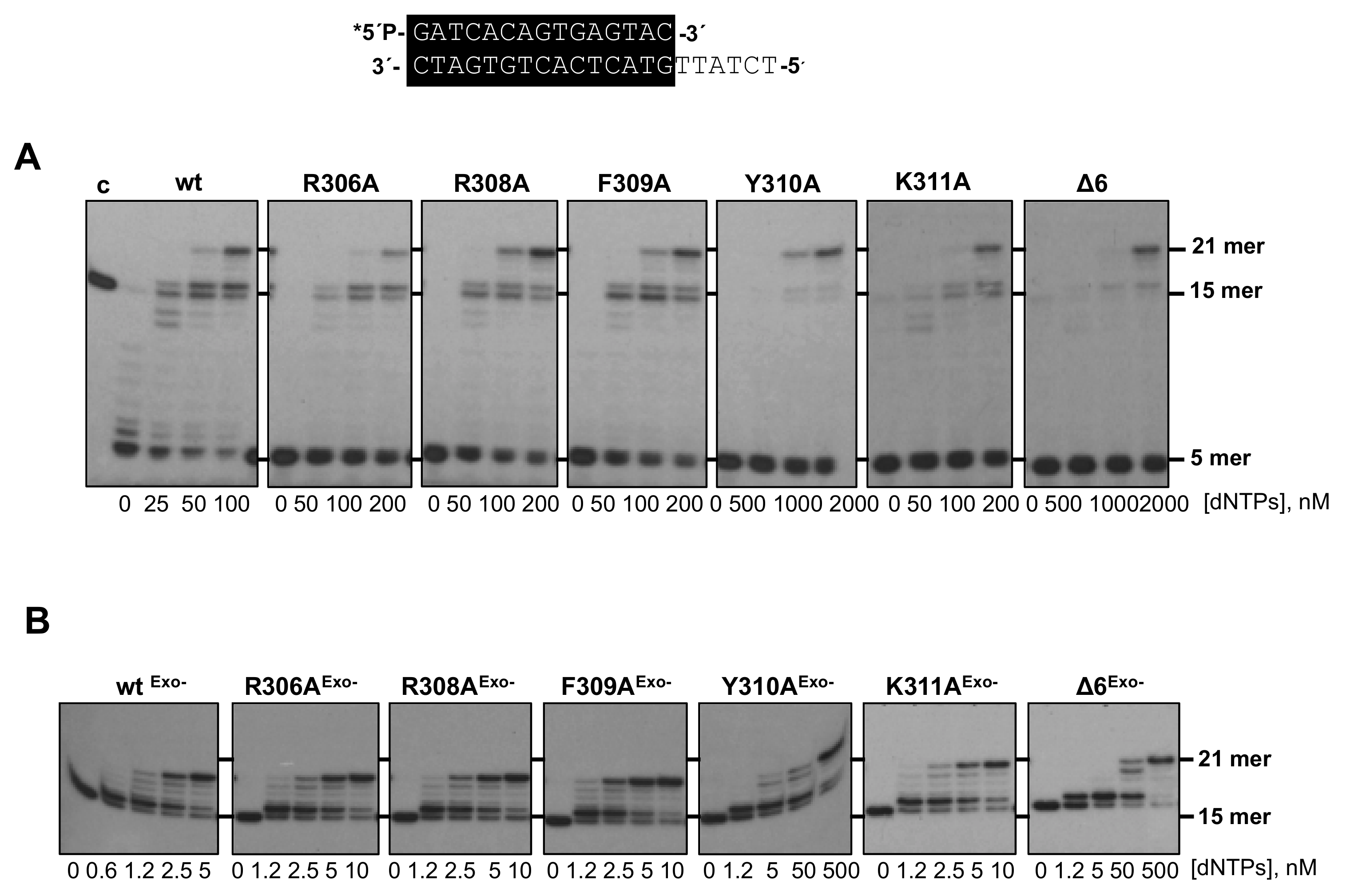 Biomolecules 09 00648 g002