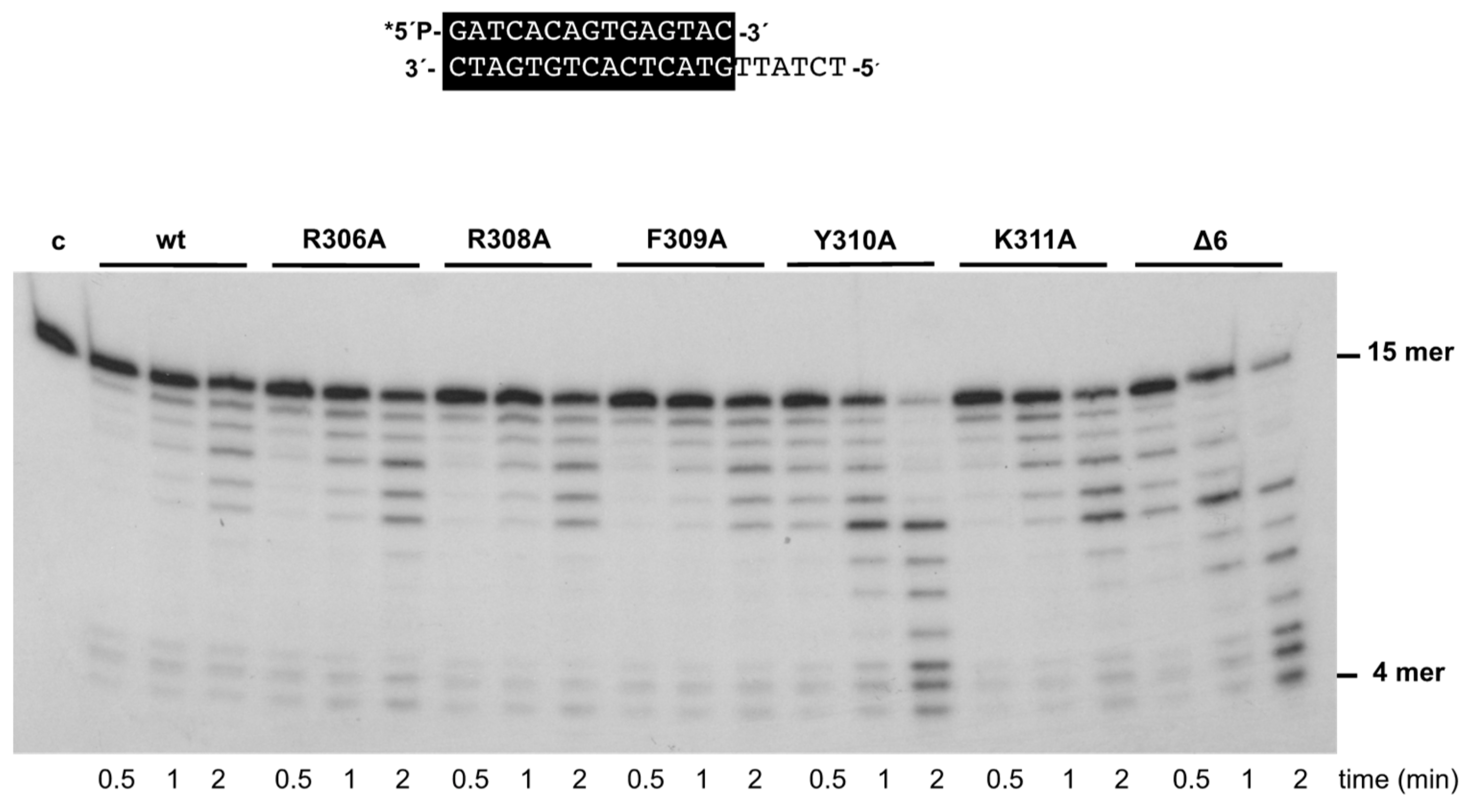 Biomolecules 09 00648 g003