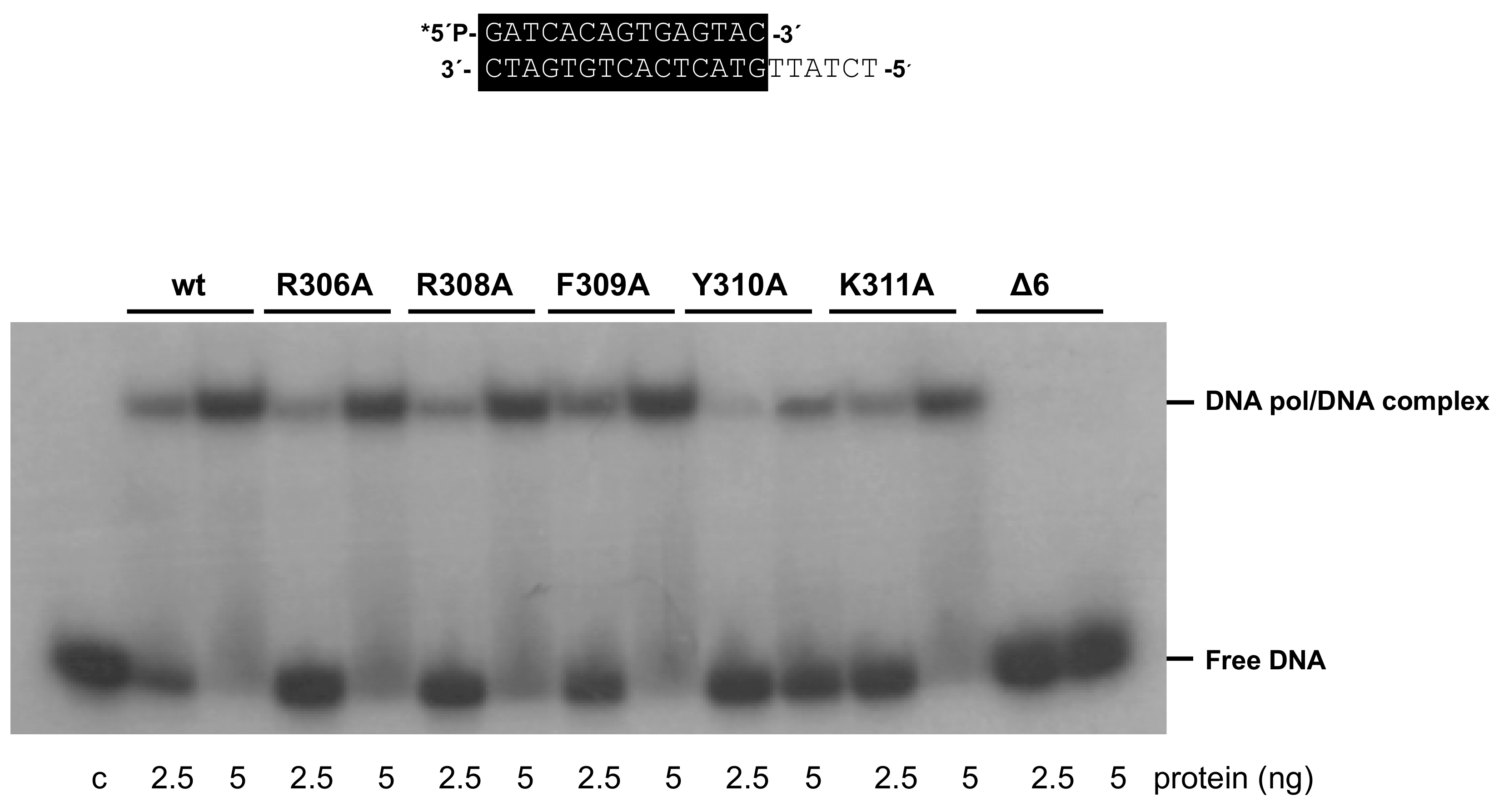 Biomolecules 09 00648 g004