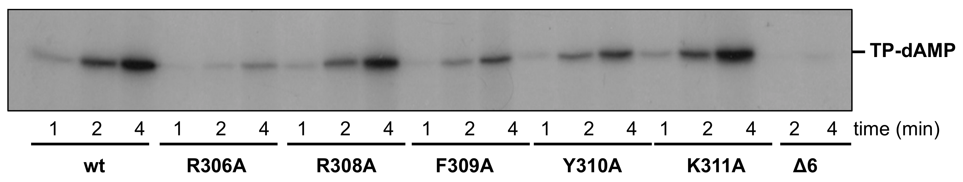 Biomolecules 09 00648 g006