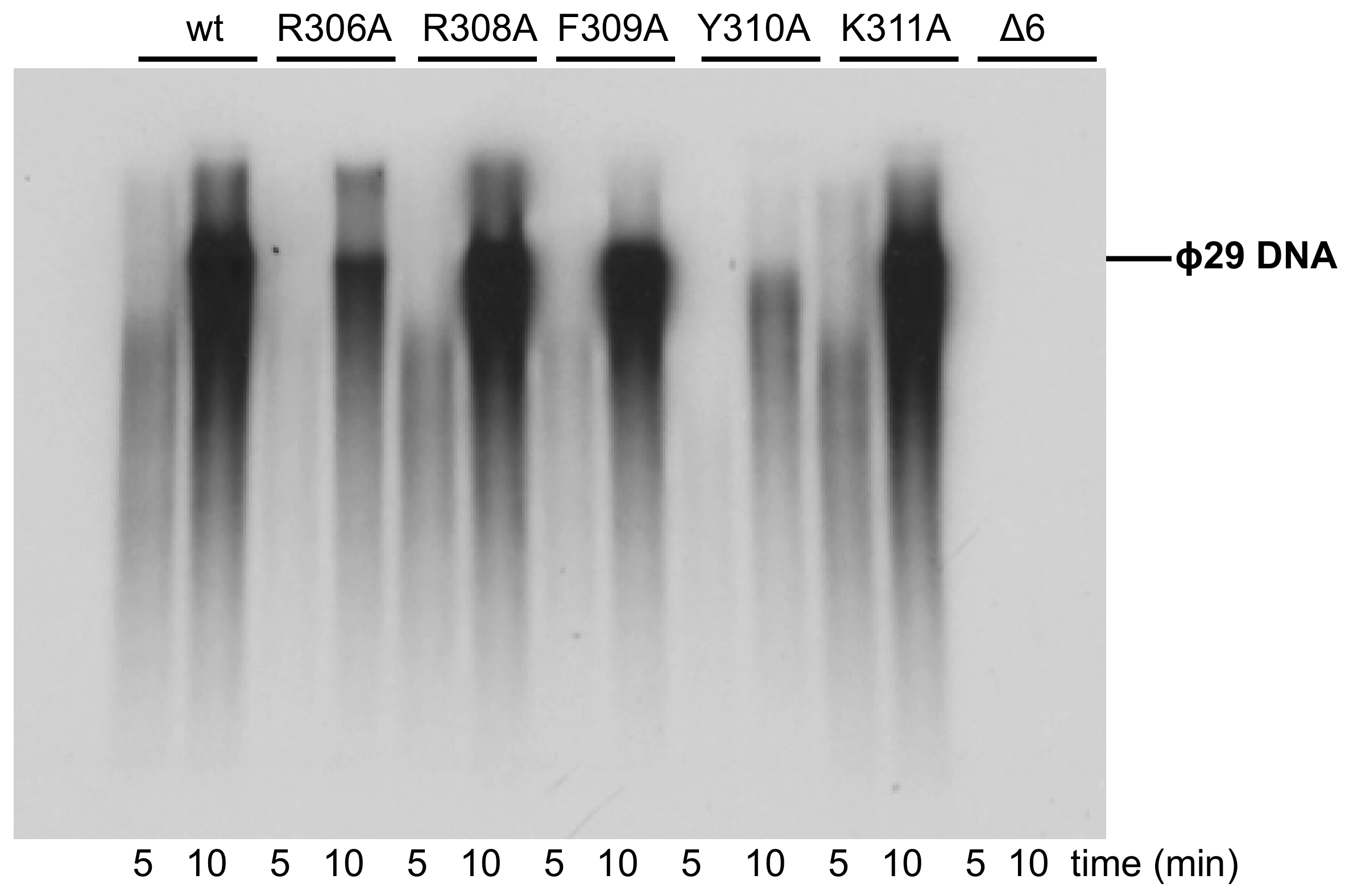 Biomolecules 09 00648 g009