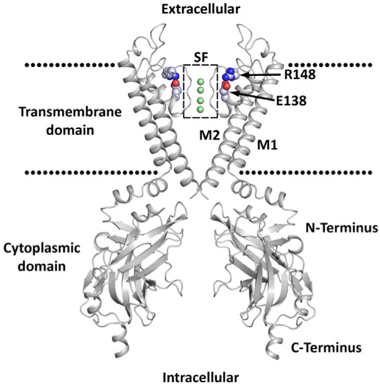 Disease Associated Mutations in KIR Proteins Linked to