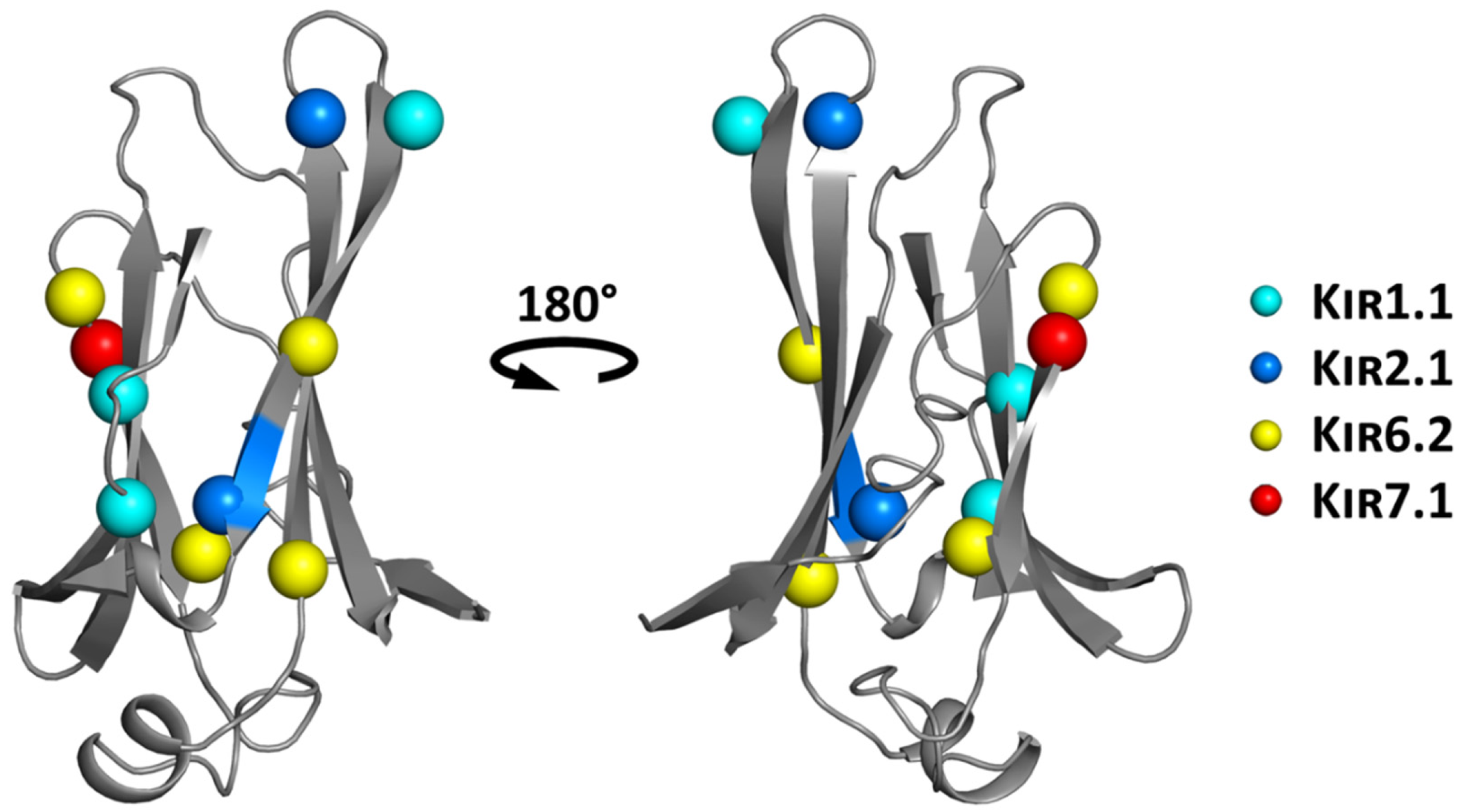 Biomolecules 09 00650 g007