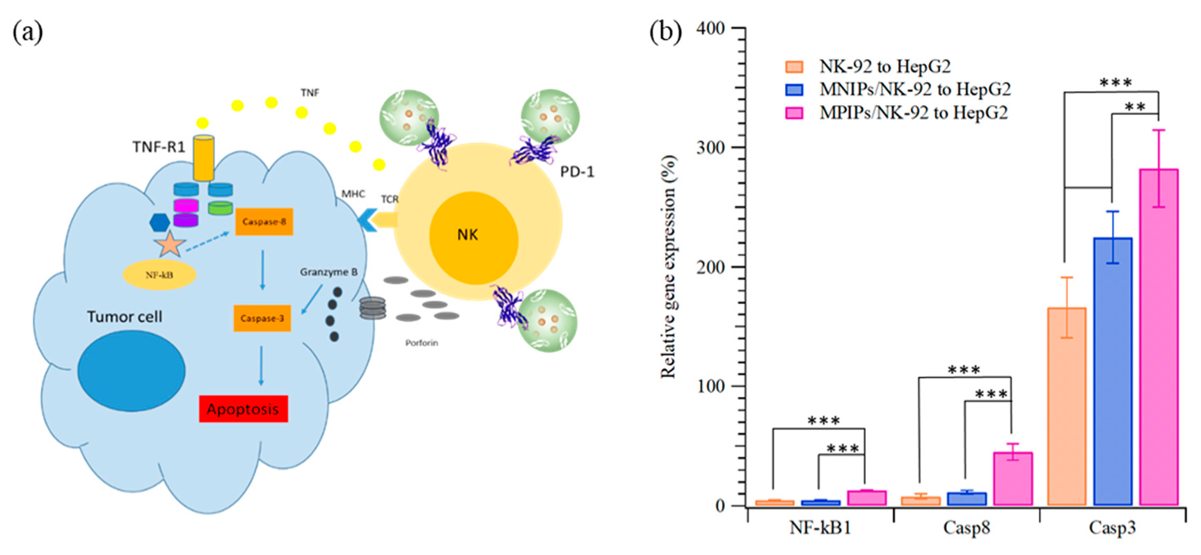 Biomolecules 09 00651 g006
