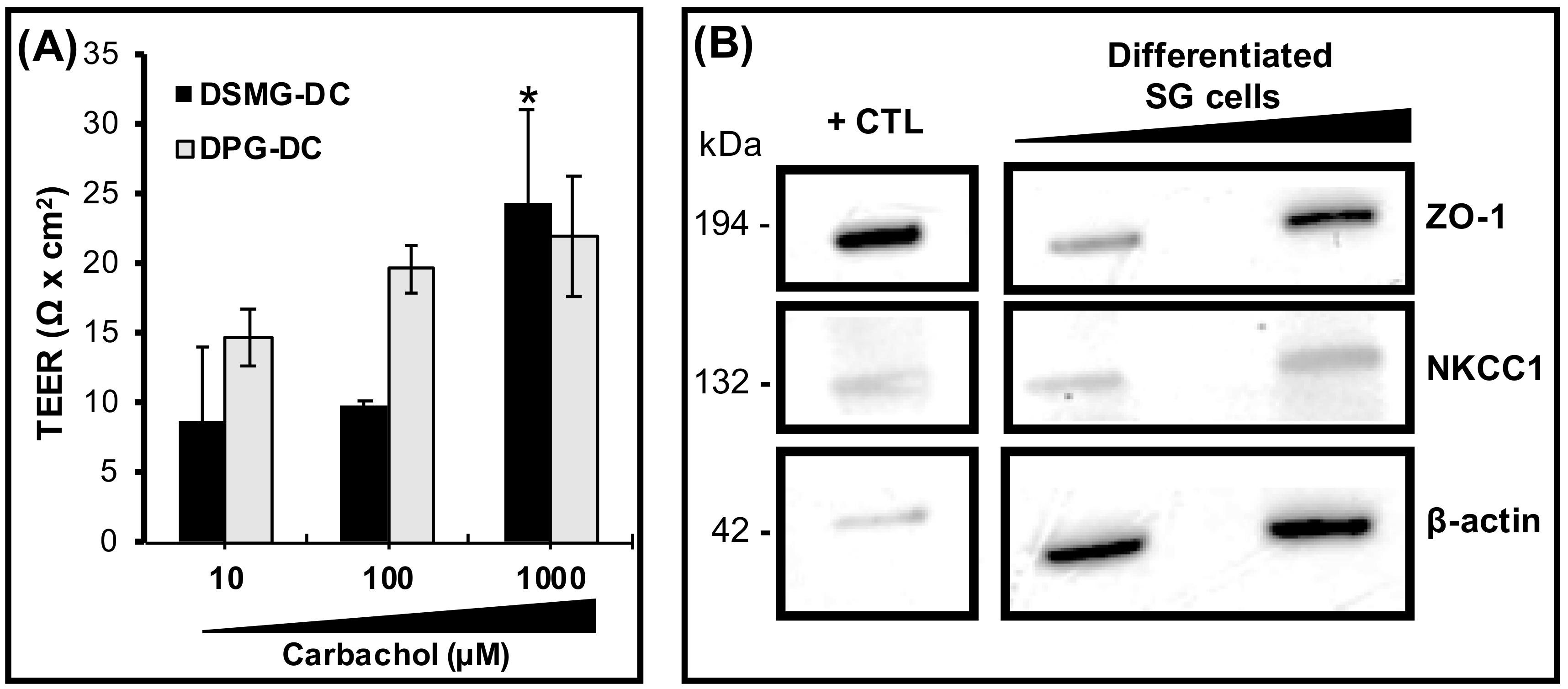 Biomolecules 09 00657 g004 Biomolecules 09 00657 g004