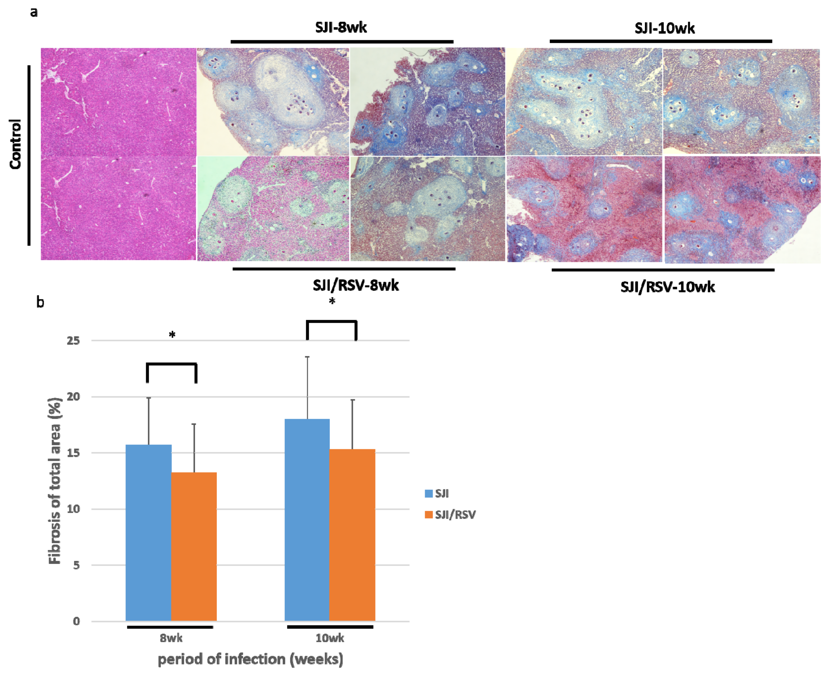 Biomolecules 09 00658 g003