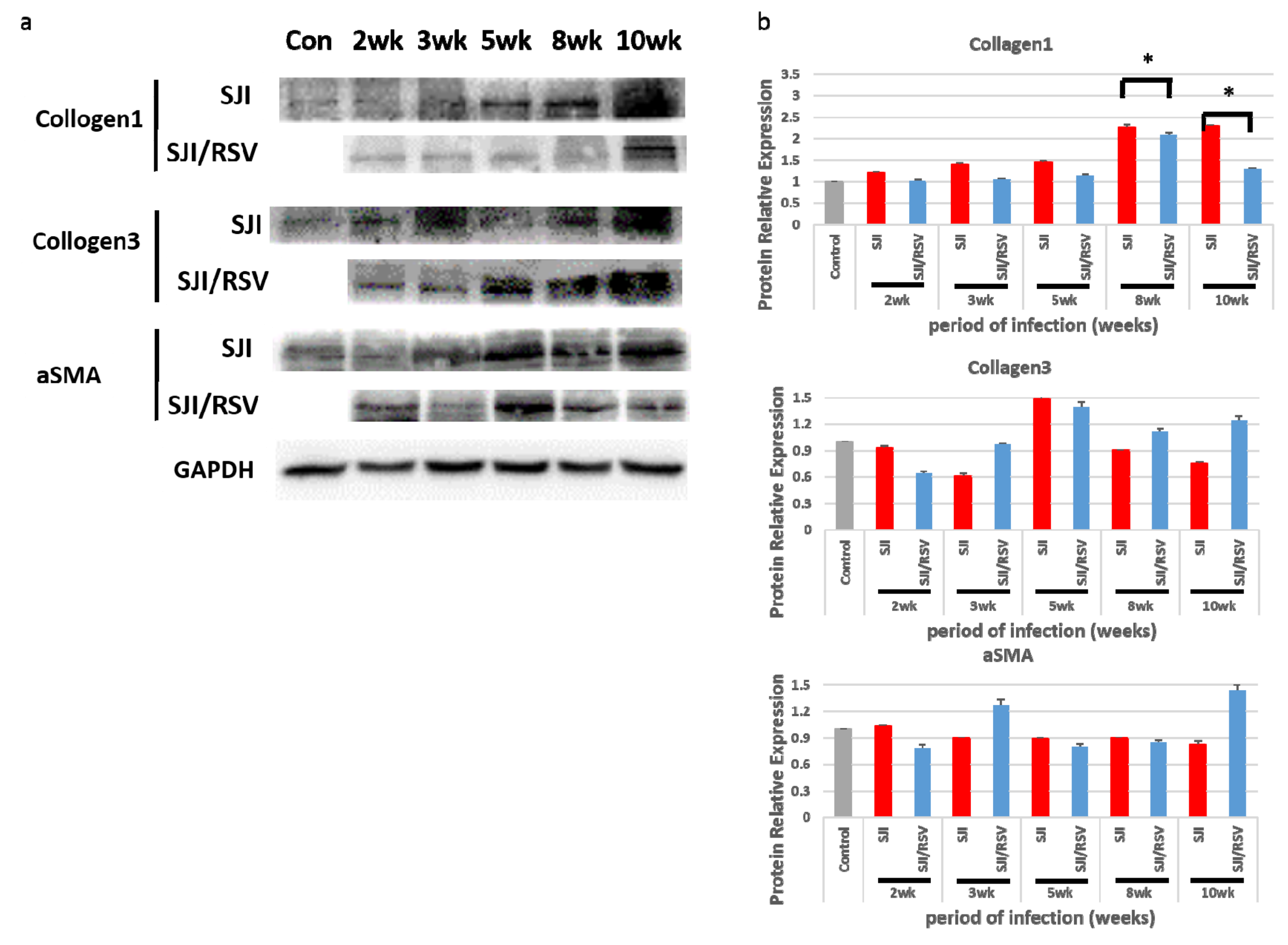 Biomolecules 09 00658 g004