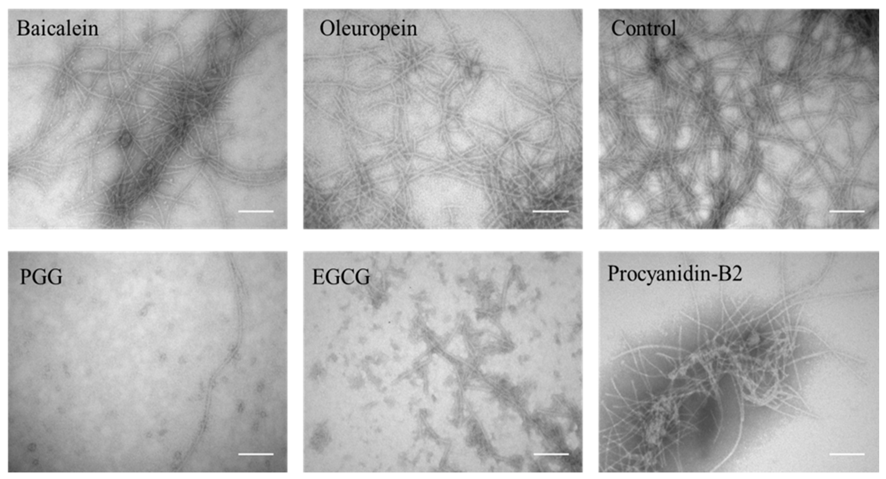 Biomolecules 09 00659 g002