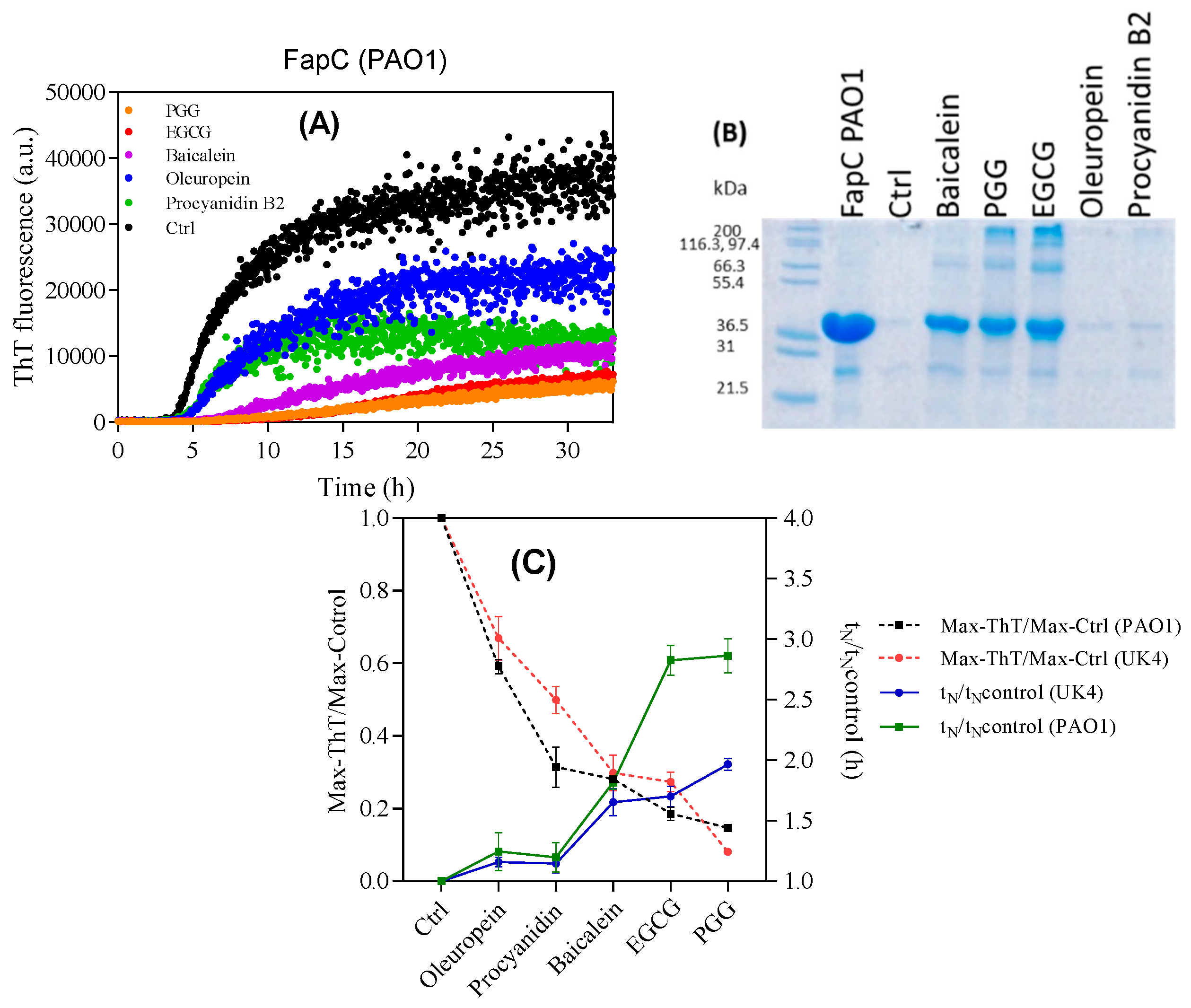Biomolecules 09 00659 g004