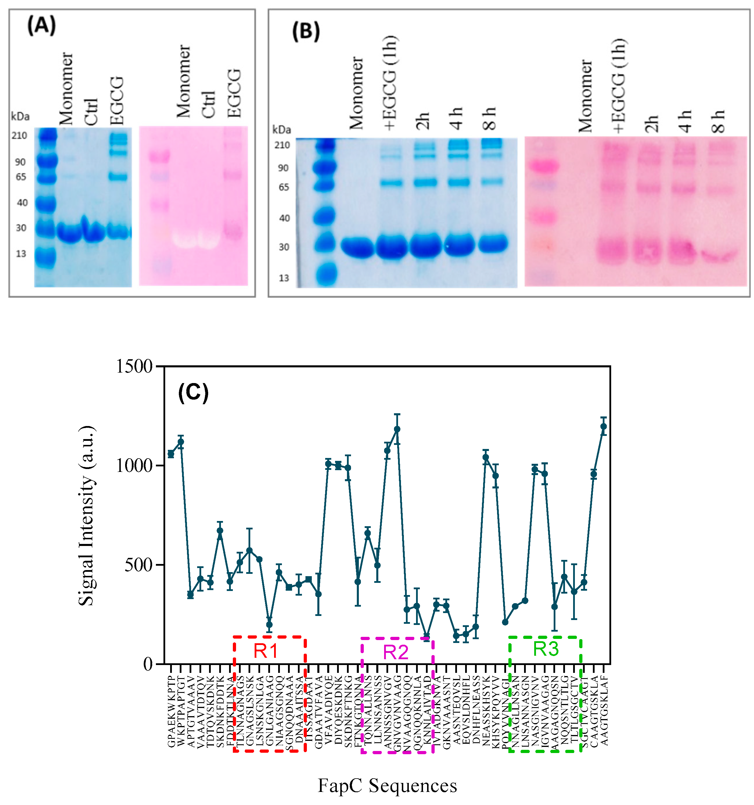 Biomolecules 09 00659 g006