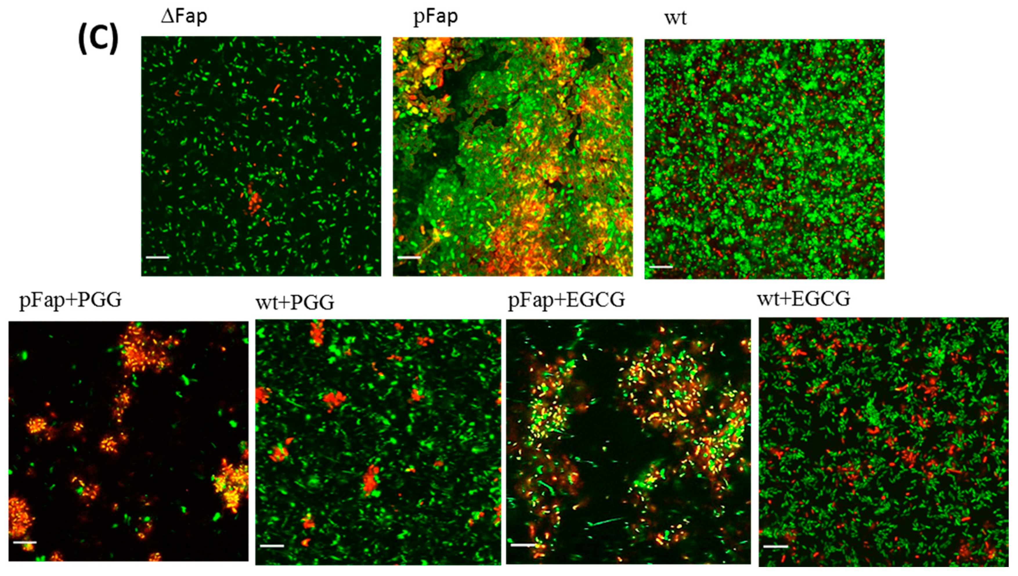 Biomolecules 09 00659 g009b