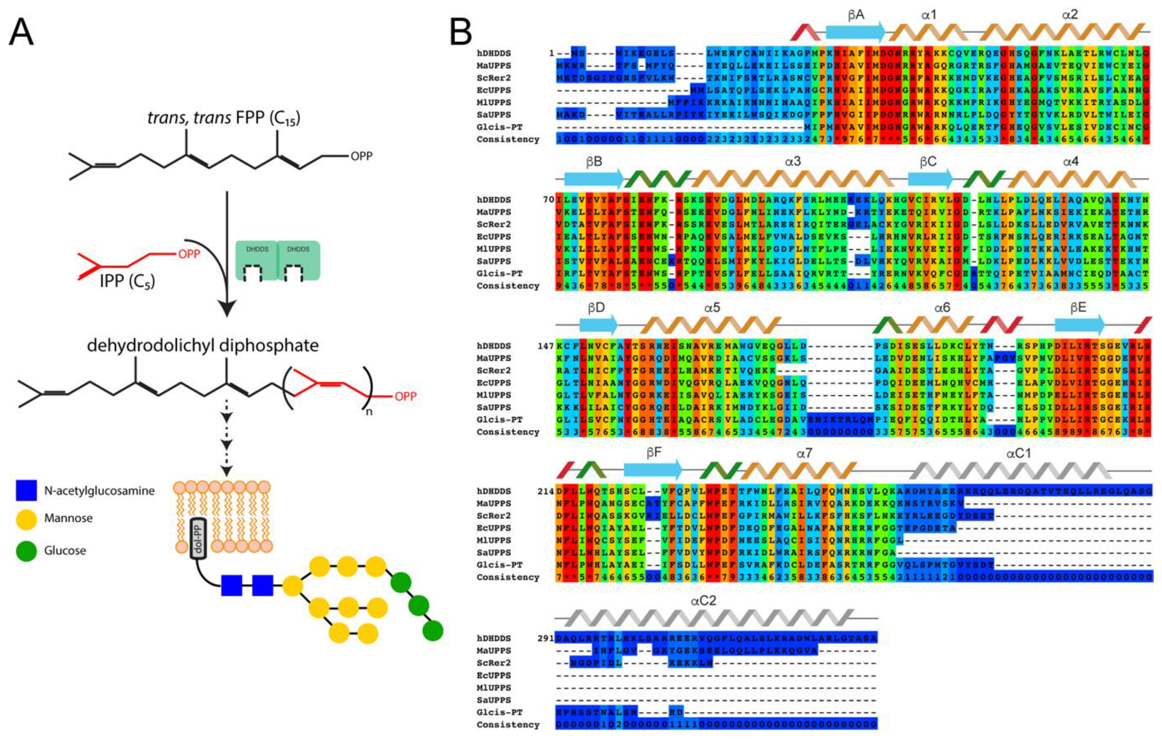 Biomolecules 09 00660 g001
