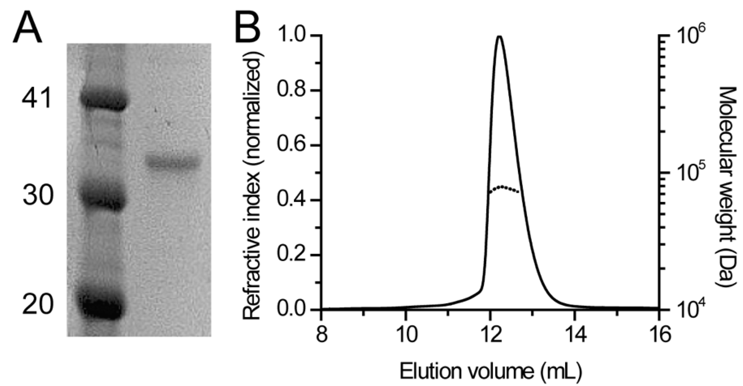Biomolecules 09 00660 g002