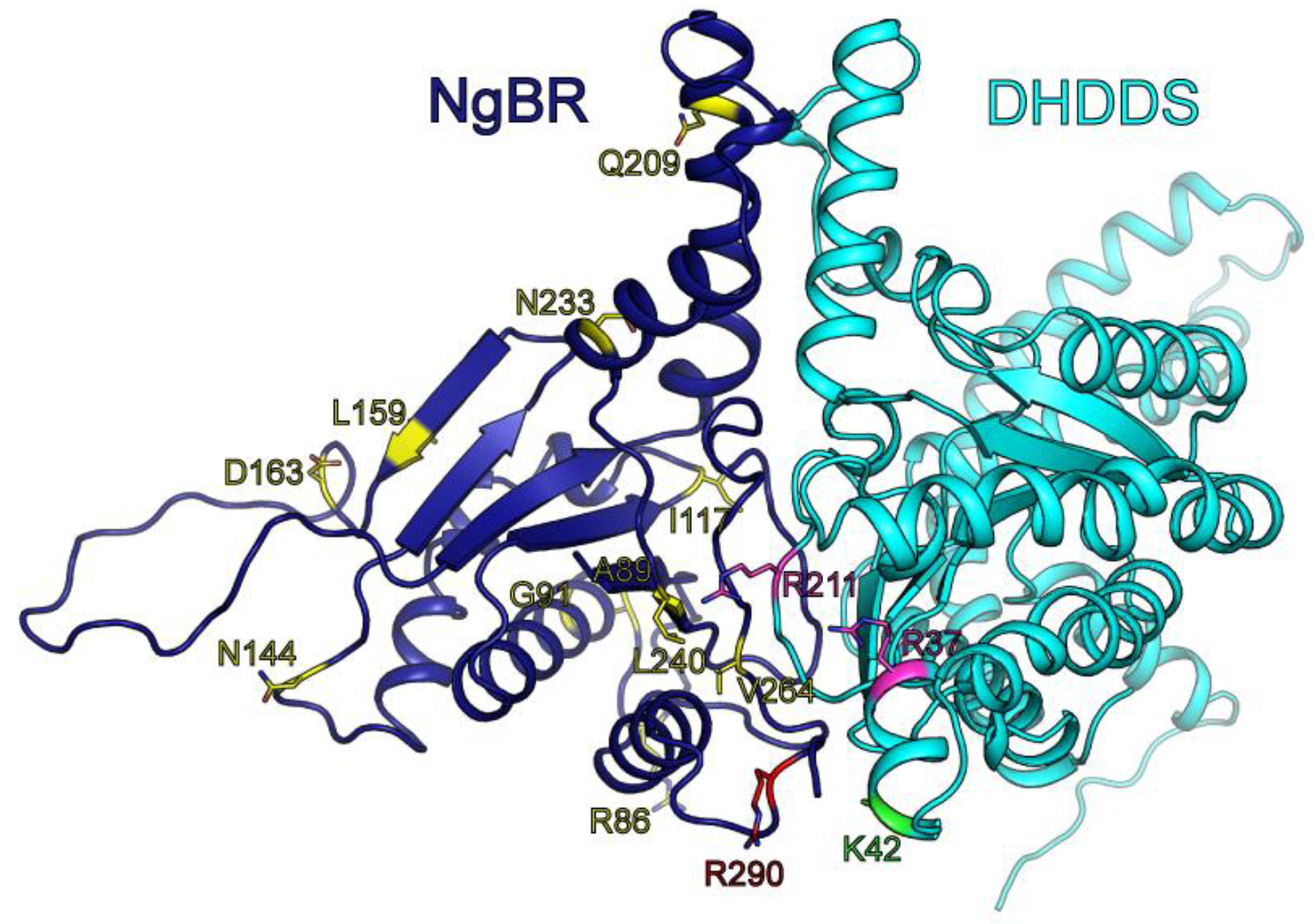 Biomolecules 09 00660 g007