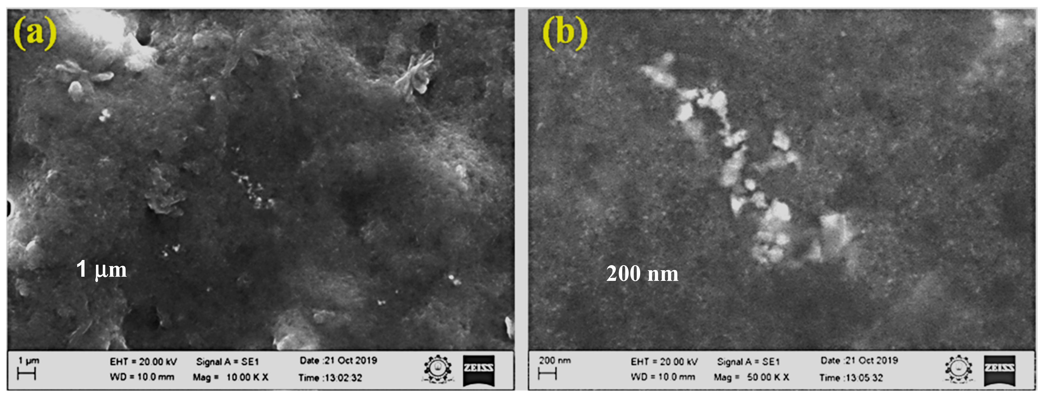 Biomolecules 09 00662 g005 Biomolecules 09 00662 g005