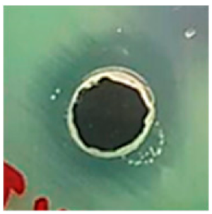 Biomolecules 09 00662 i002 Biomolecules 09 00662 i002