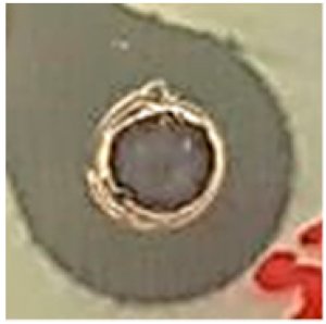 Biomolecules 09 00662 i009 Biomolecules 09 00662 i009