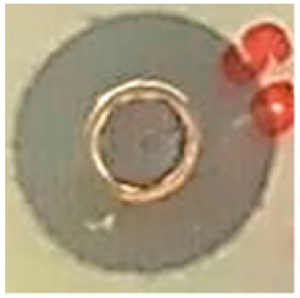 Biomolecules 09 00662 i010 Biomolecules 09 00662 i010