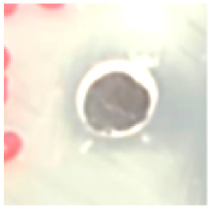 Biomolecules 09 00662 i013 Biomolecules 09 00662 i013