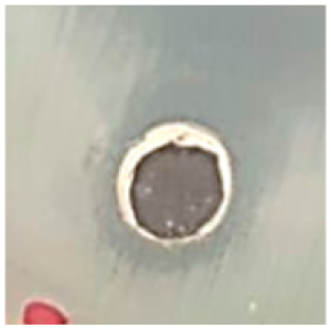 Biomolecules 09 00662 i014 Biomolecules 09 00662 i014