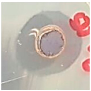 Biomolecules 09 00662 i016 Biomolecules 09 00662 i016