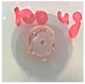 Biomolecules 09 00662 i017 Biomolecules 09 00662 i017