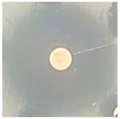 Biomolecules 09 00662 i018 Biomolecules 09 00662 i018