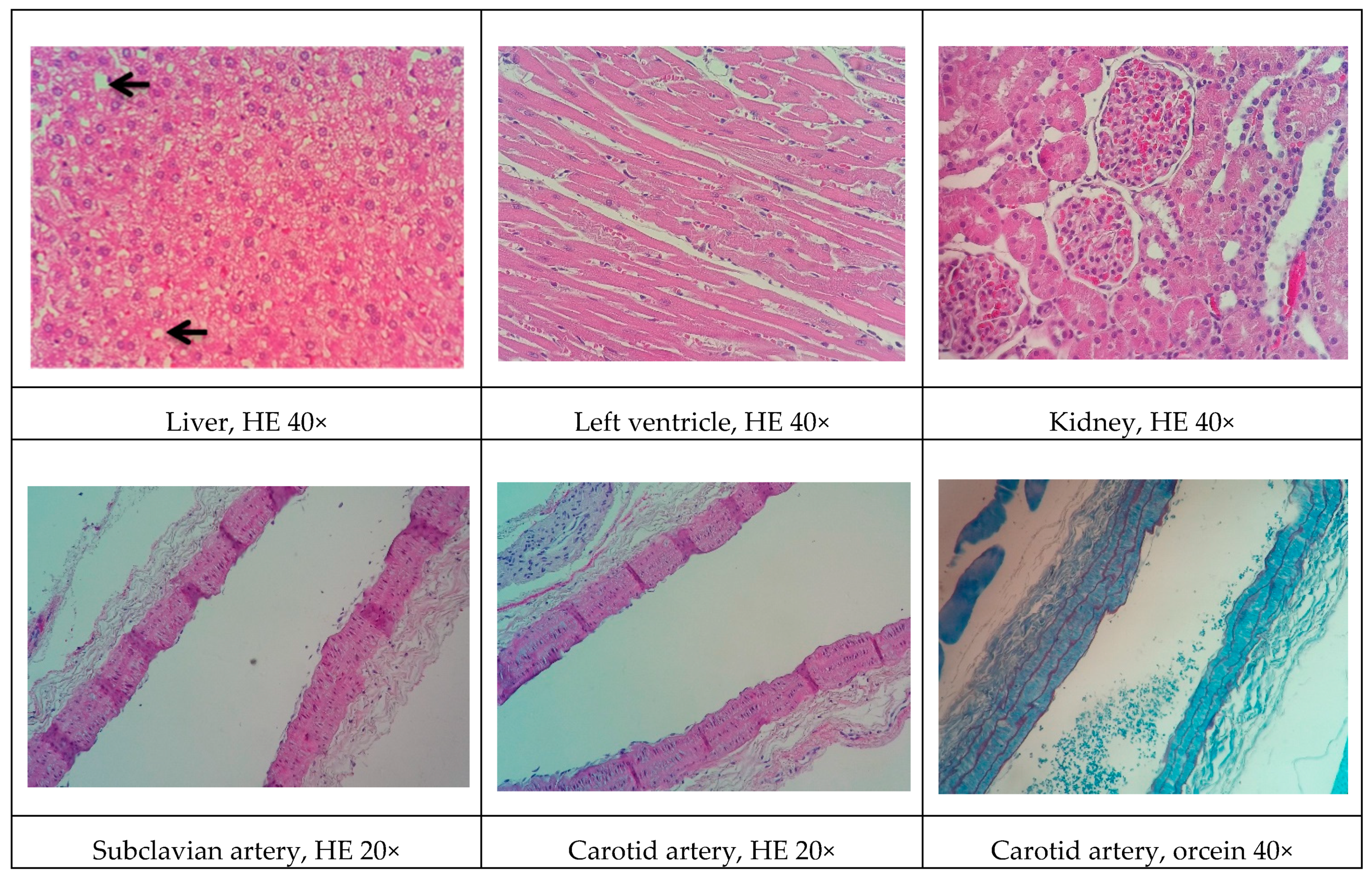 Biomolecules 09 00664 g002