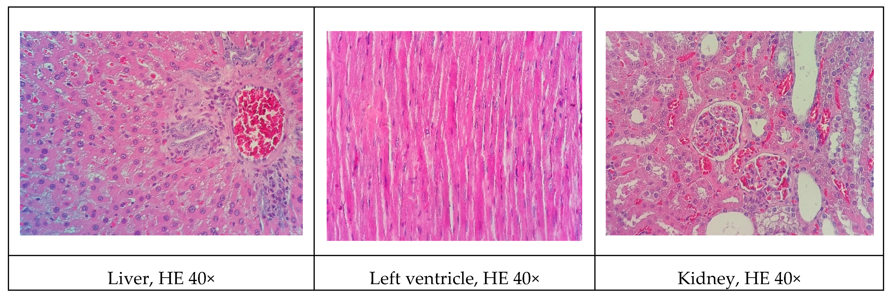 Biomolecules 09 00664 g003a
