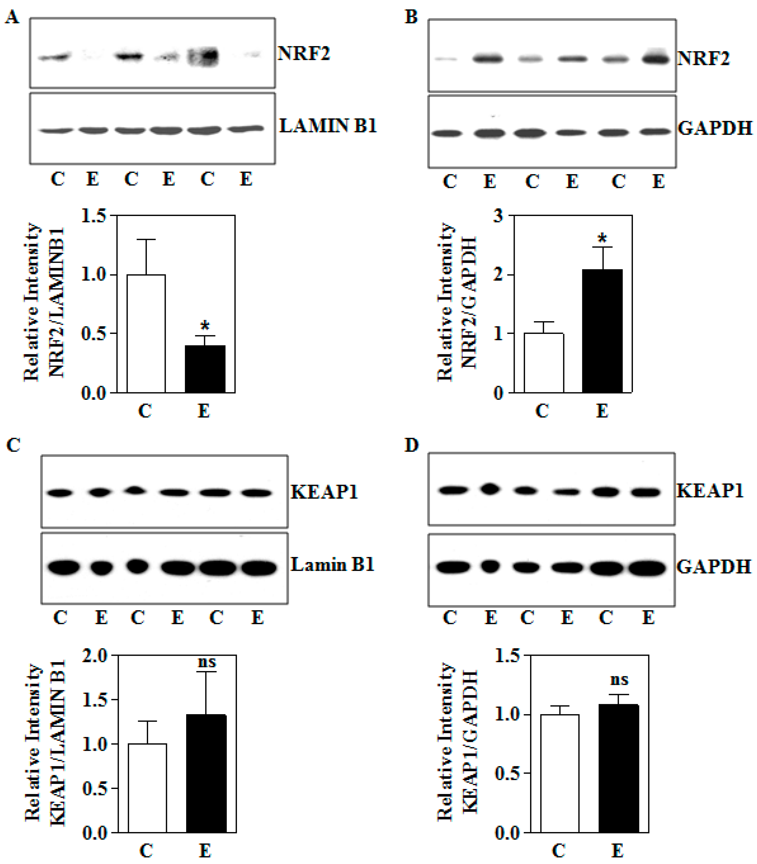 Biomolecules 09 00669 g003