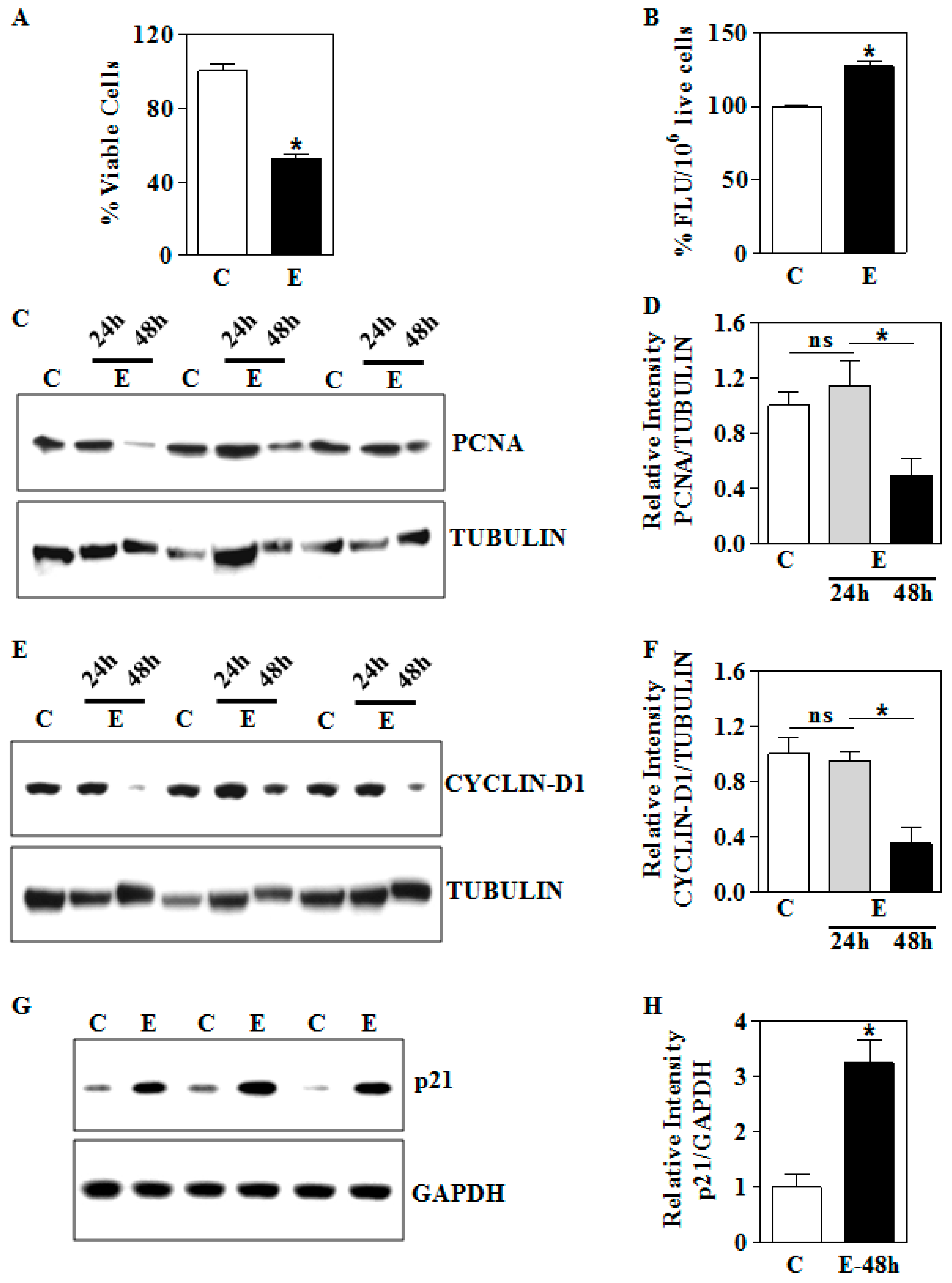 Biomolecules 09 00669 g006