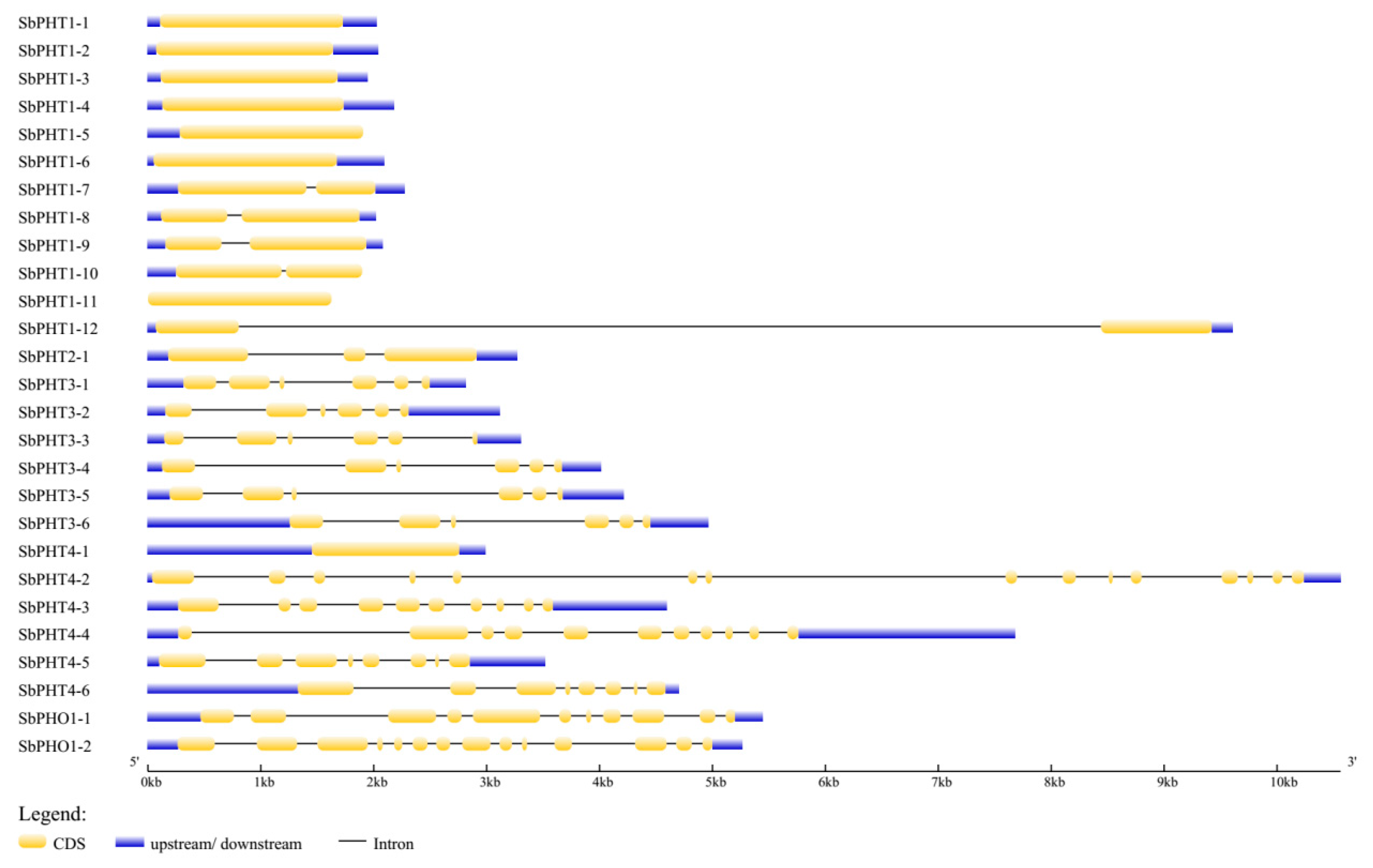 Biomolecules 09 00670 g003
