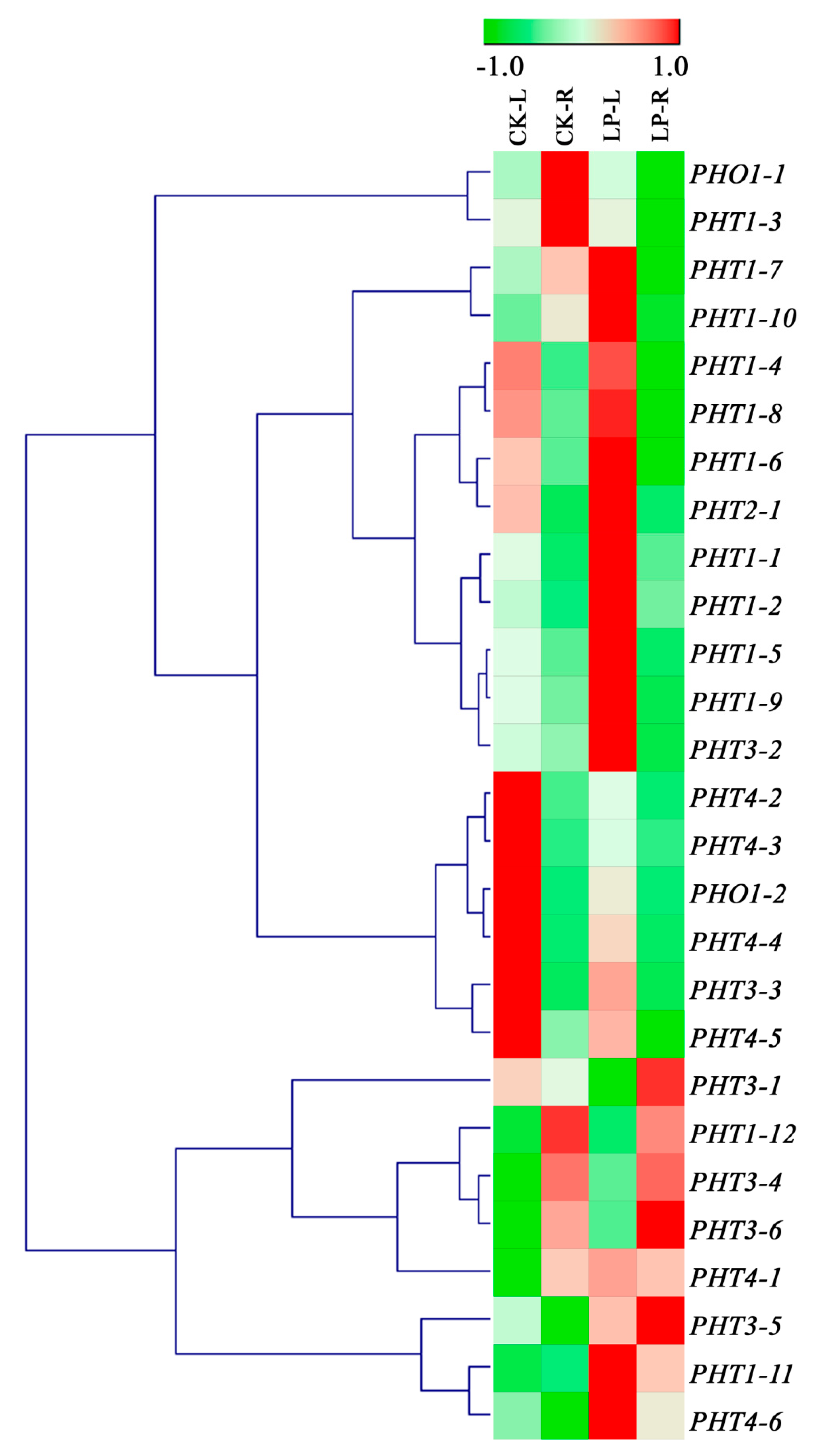 Biomolecules 09 00670 g005