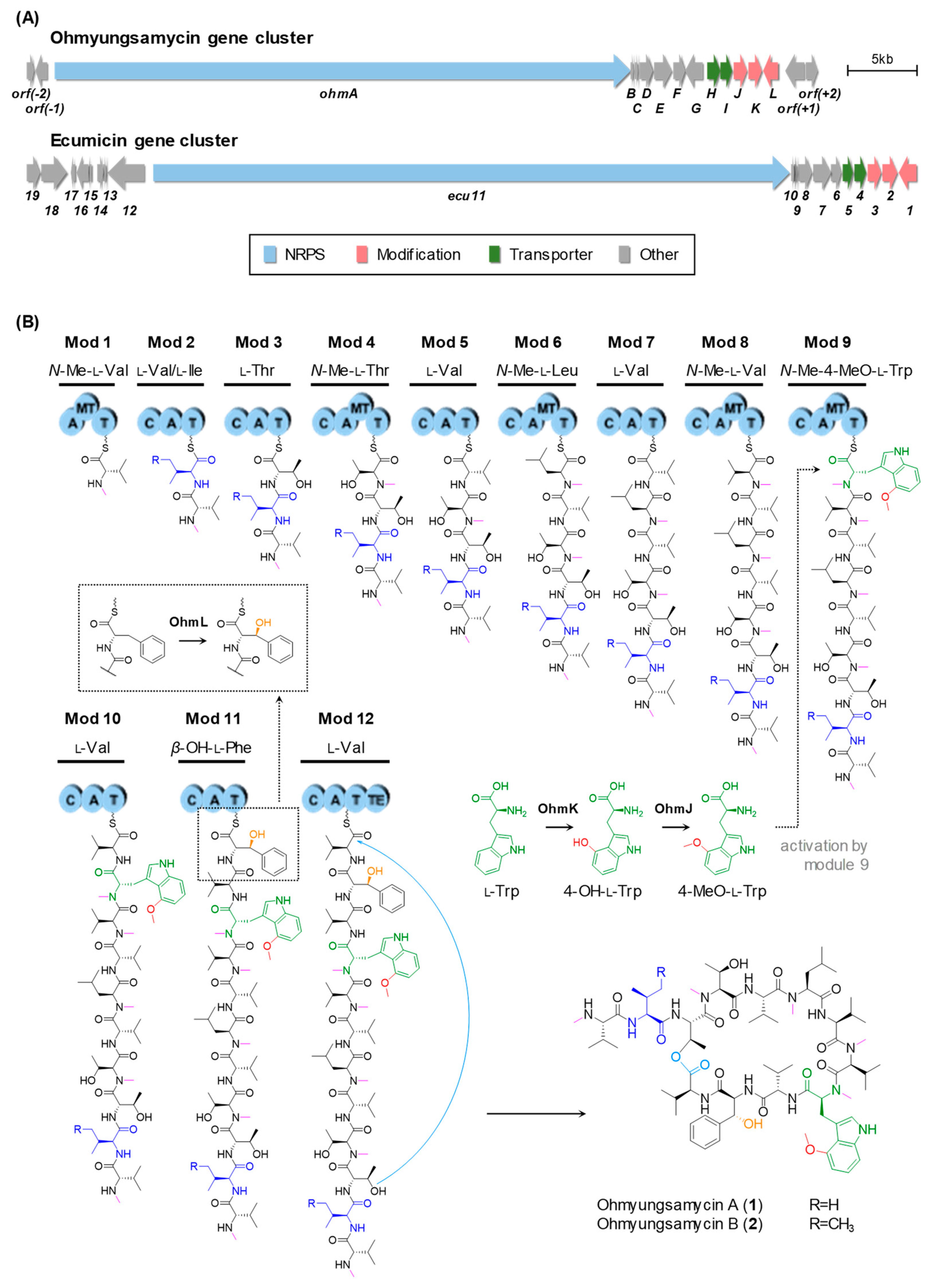 Biomolecules 09 00672 g002