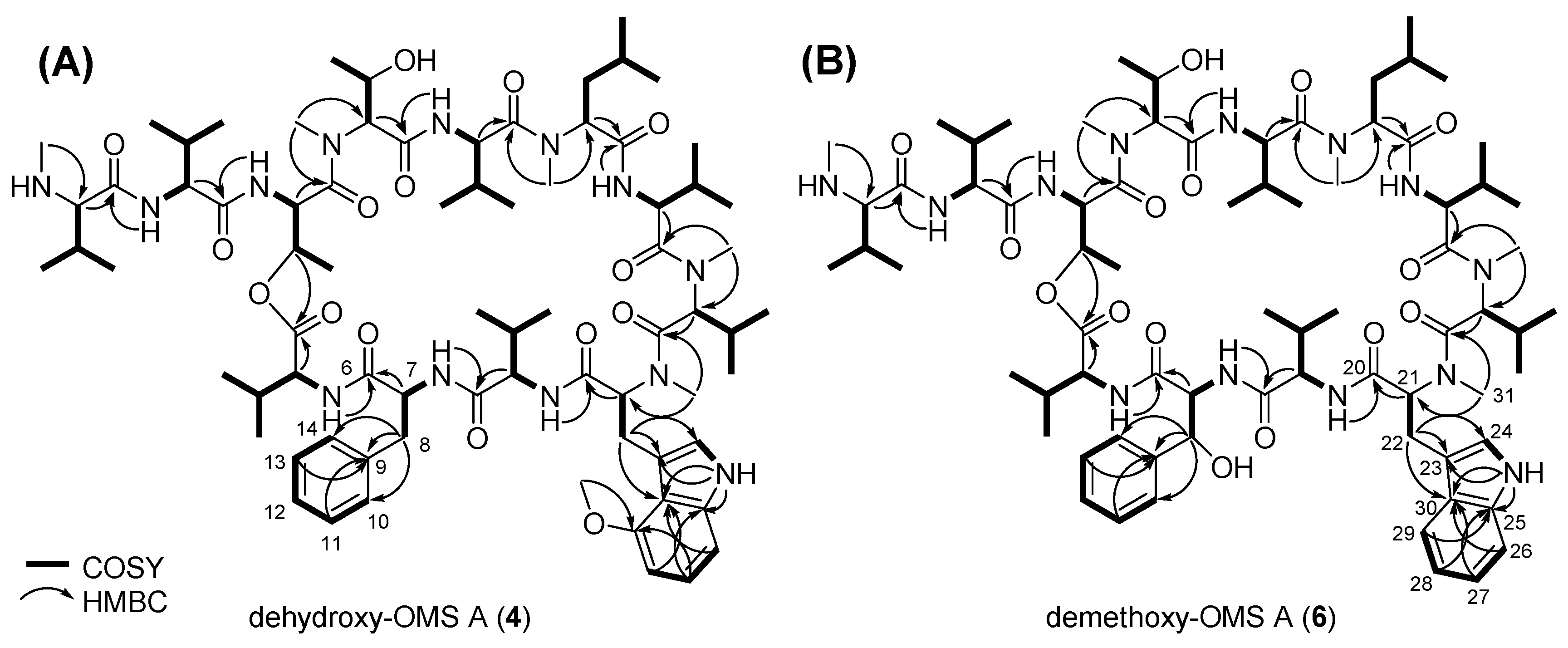 Biomolecules 09 00672 g004
